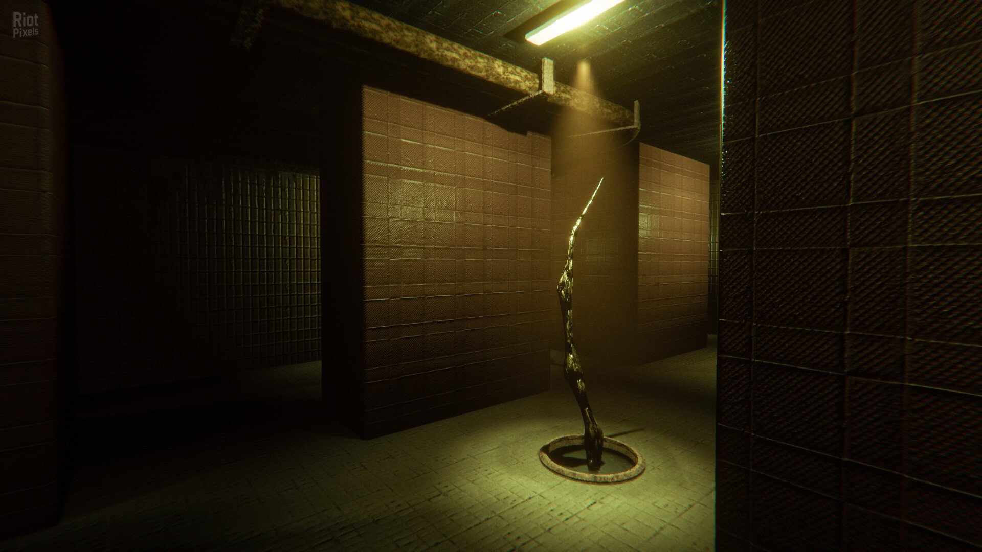 [16]-The Proponent Download