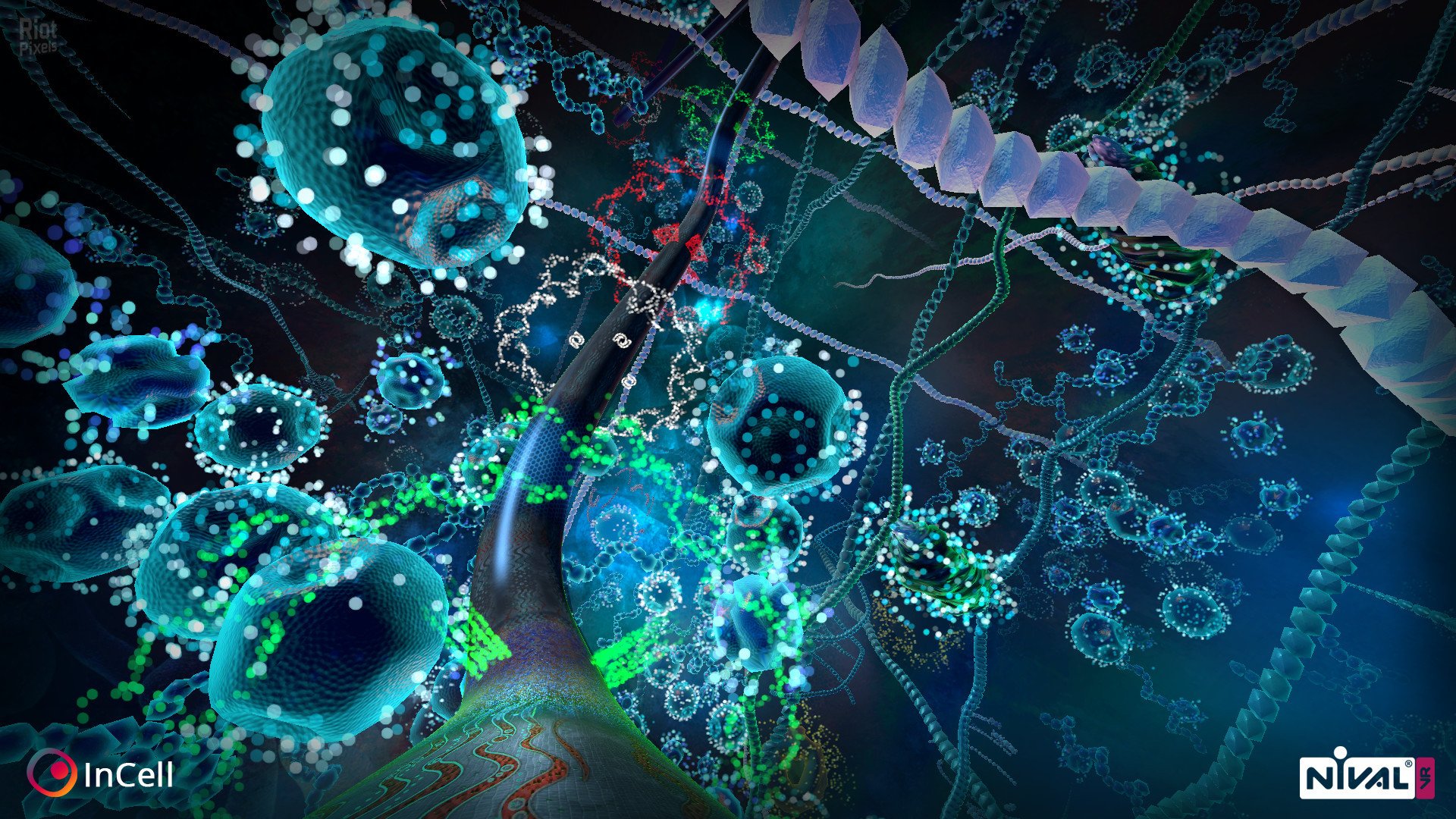 [3]-InCell / InCell VR Download