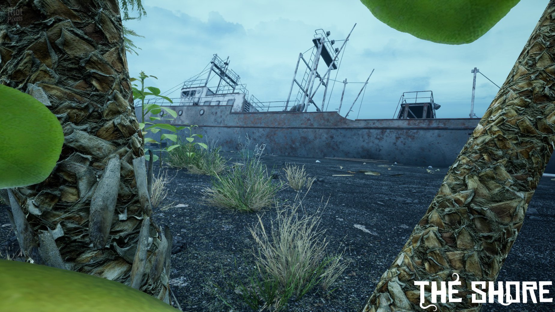 [10]-The Shore Download