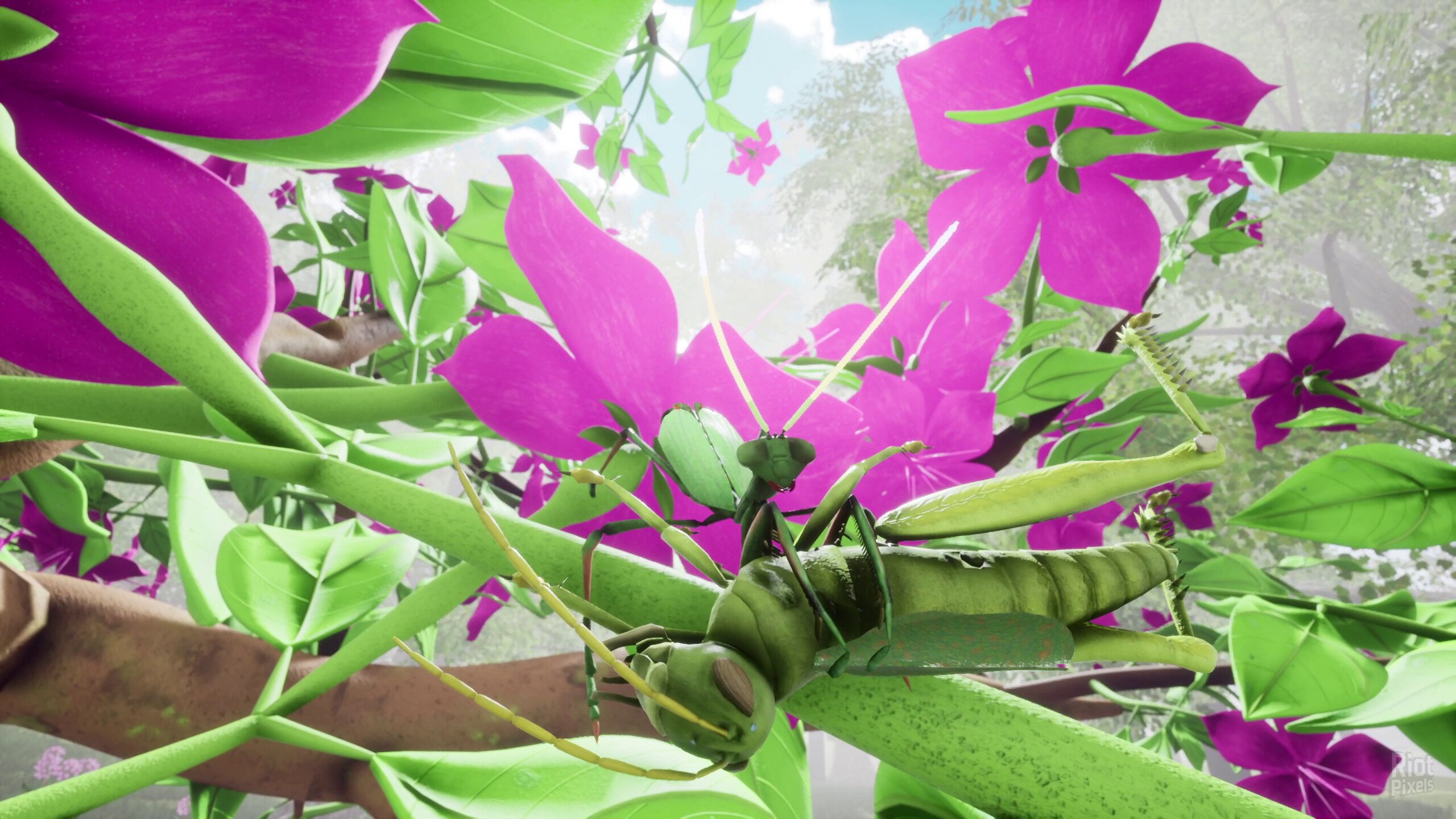 [9]-Nature & Life: Drunk On Nectar + Bonus Soundtrack Download