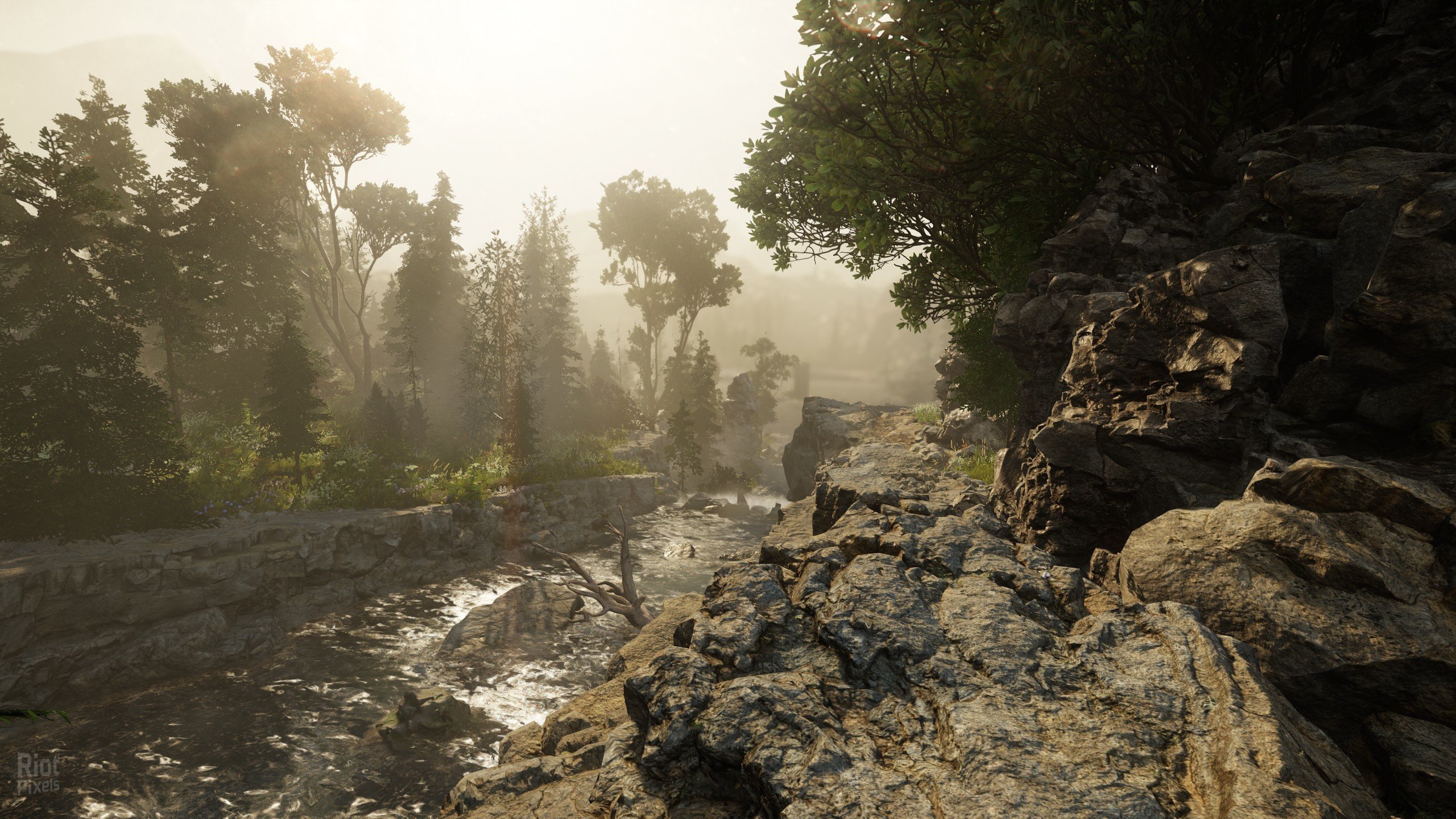 [4]-The Alien Cube: Deluxe Edition – Build 8187558 + Behind the Scenes DLC Download