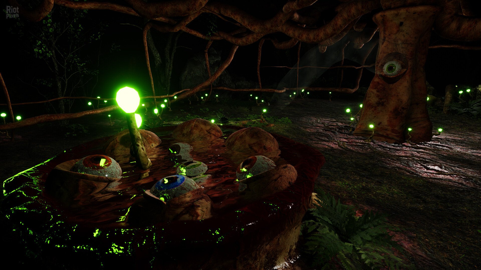 [5]-The Unbeatable Path Download