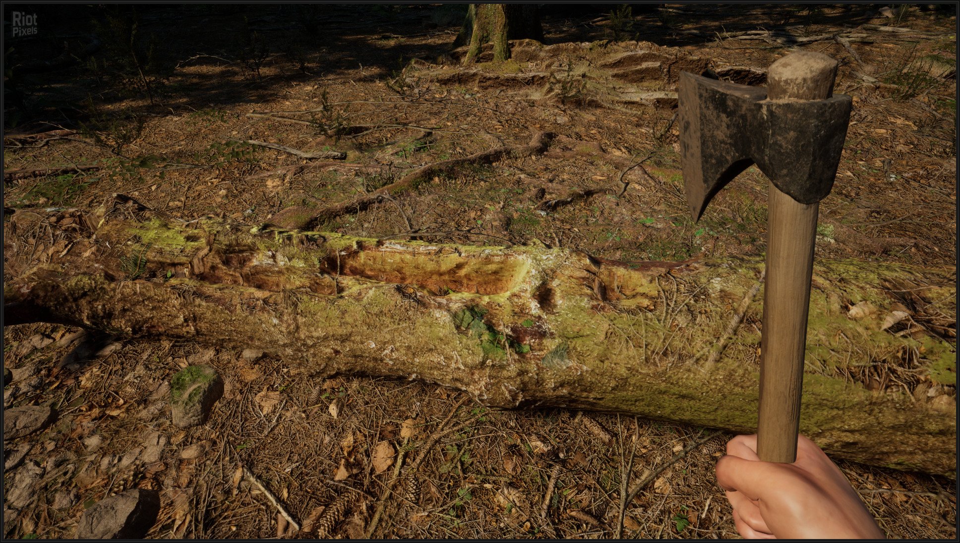 [10]-Evergreen: Mountain Life Simulator – v1.0.0 (Release) + Windows 7 Fix Download