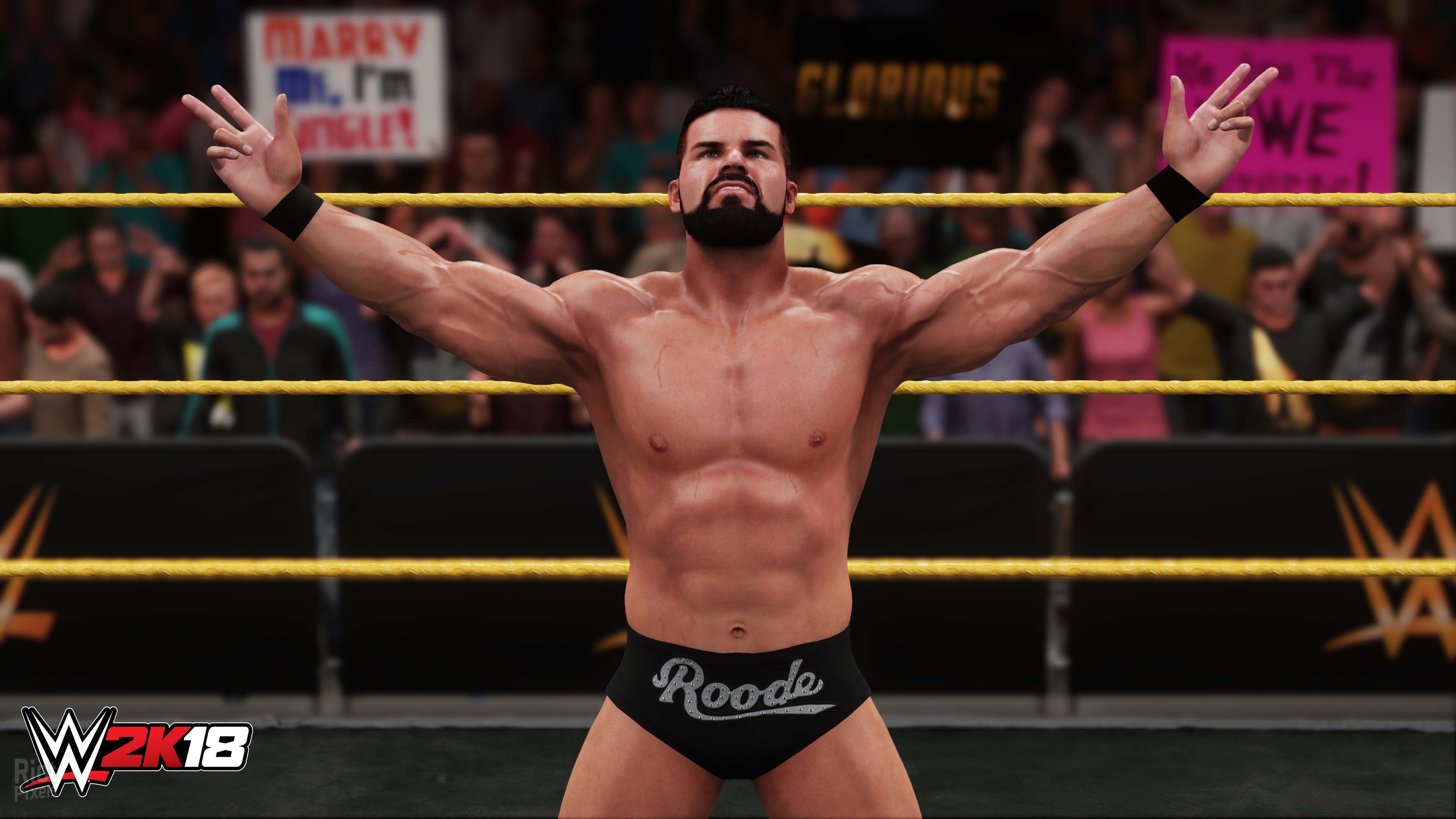 [15]-WWE 2K18 + 4 DLCs Download