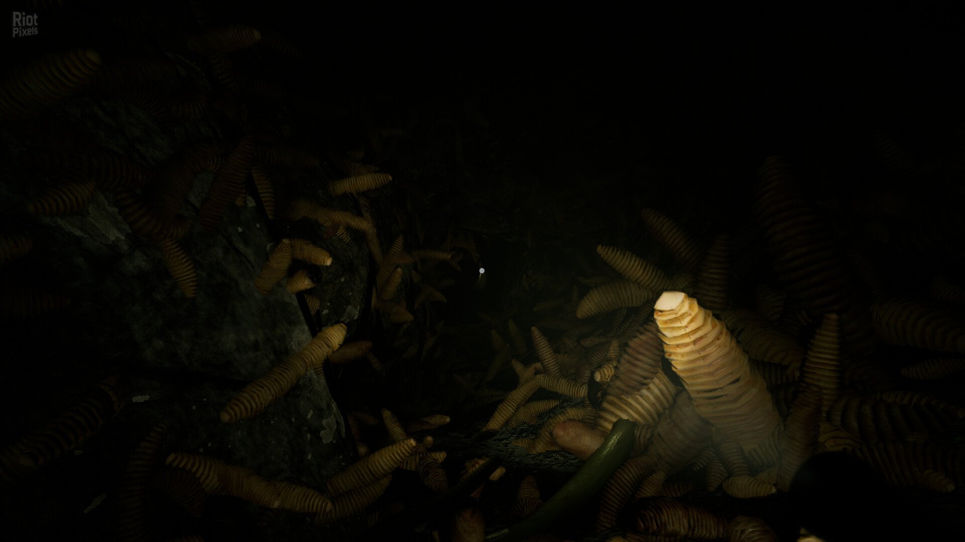 [5]-Shadow of Ether Download