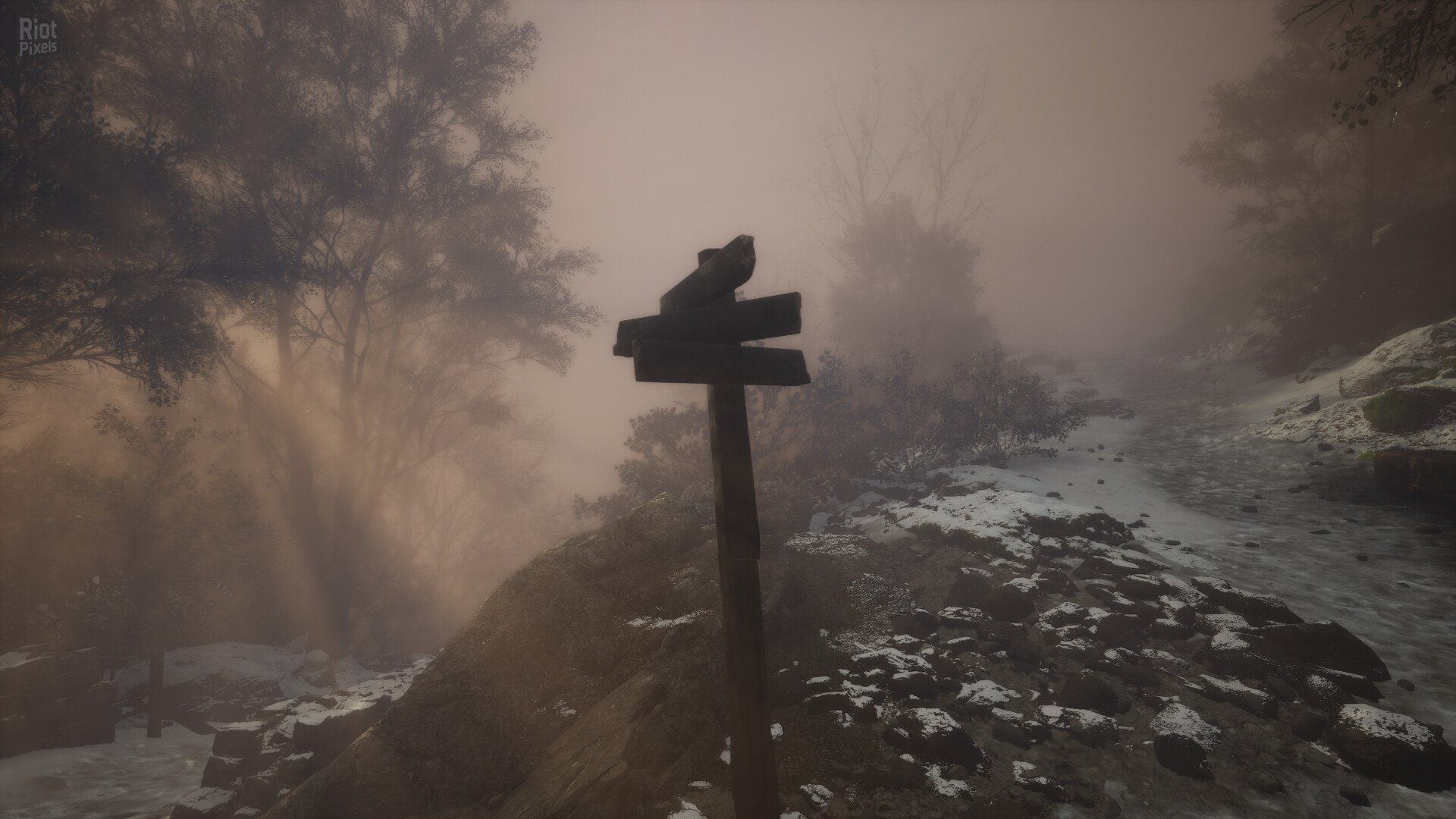 [9]-Lushfoil Photography Sim Download