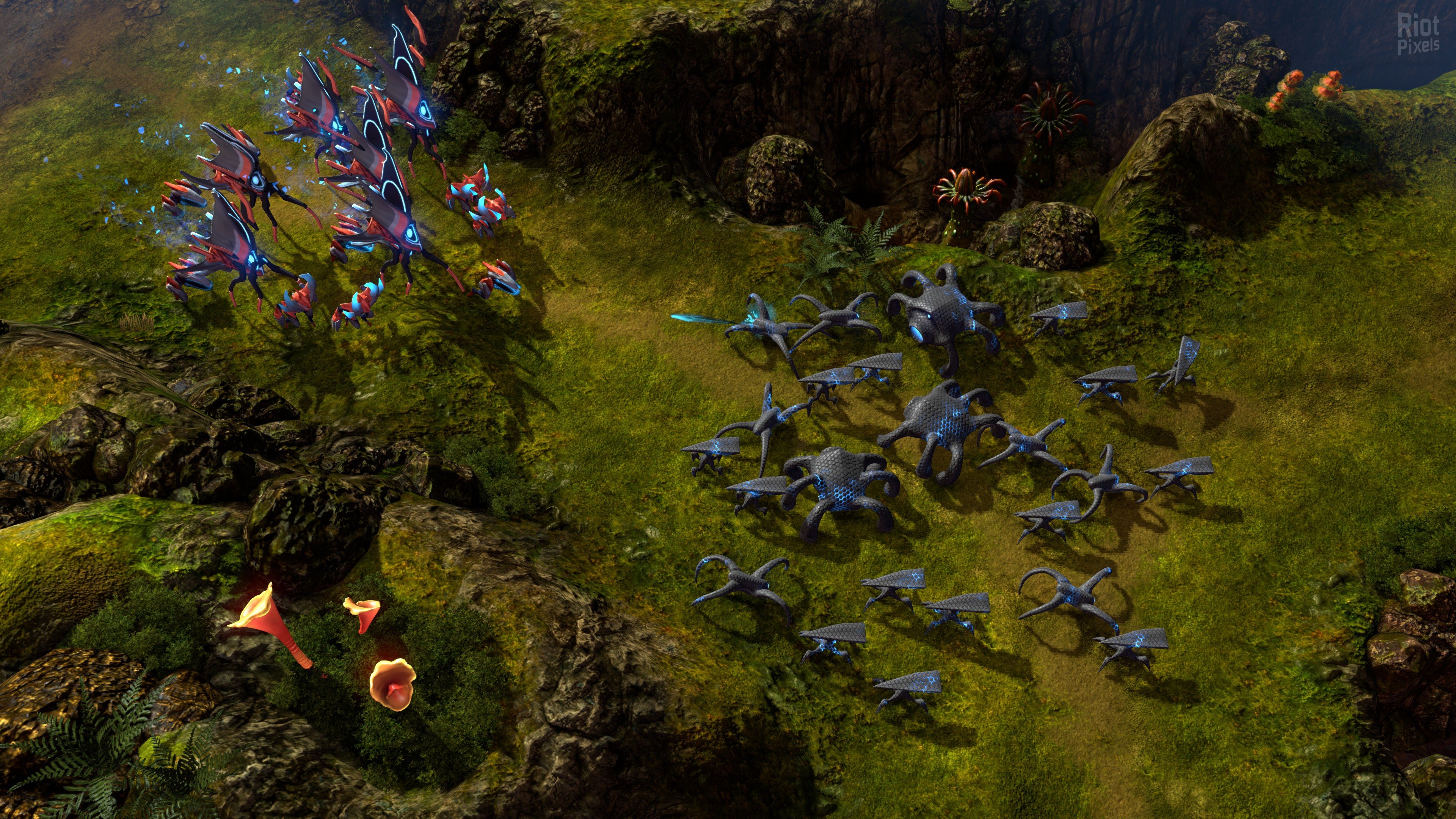 [10]-Grey Goo: Definitive Edition Download