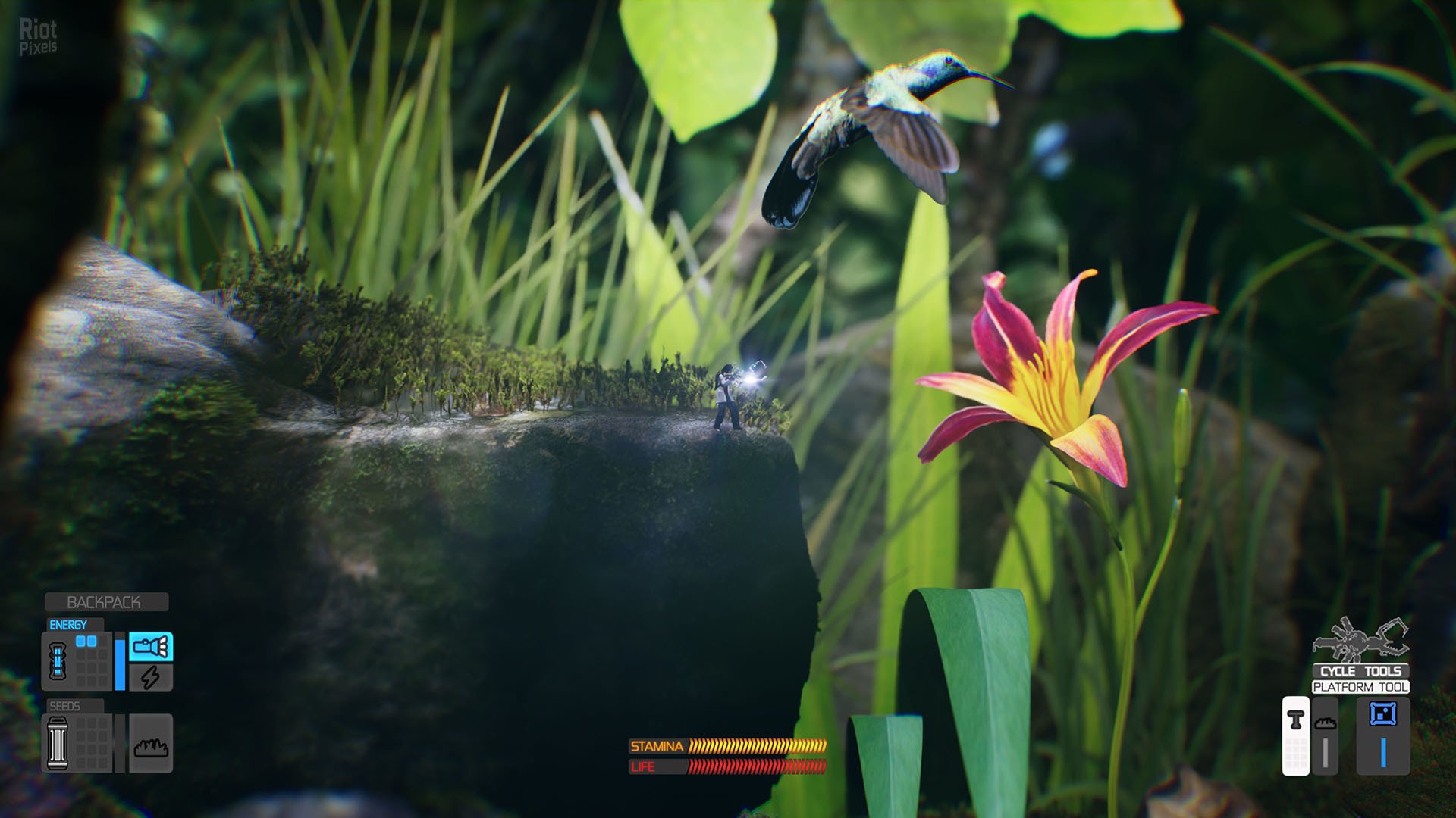 [8]-Big Earth Download