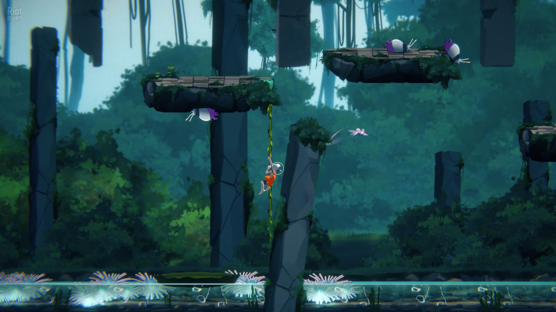 [9]-The Cub: Deluxe Edition + Bonus Soundtrack Download