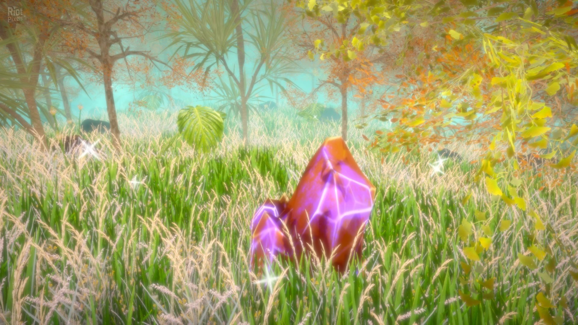 [6]-Hidden Treasures in the Forest of Dreams Download