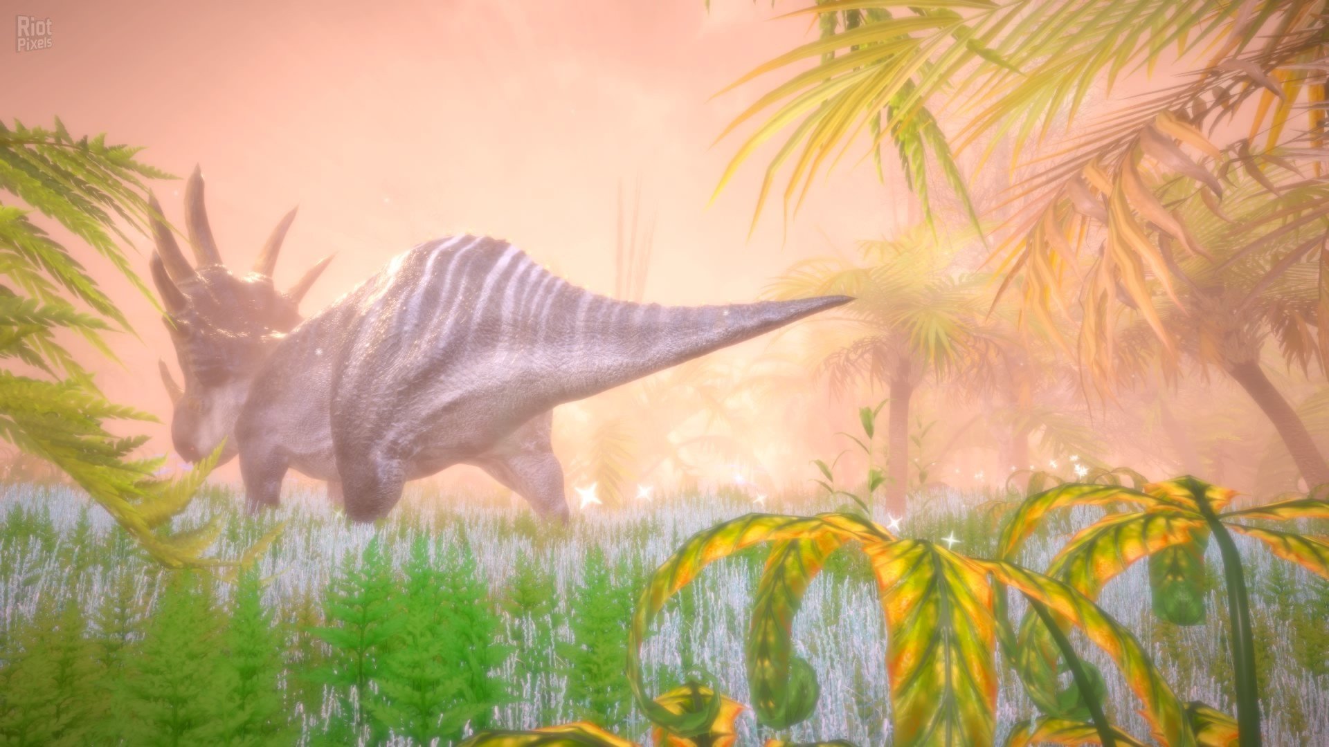 [5]-Hidden Treasures in the Forest of Dreams Download