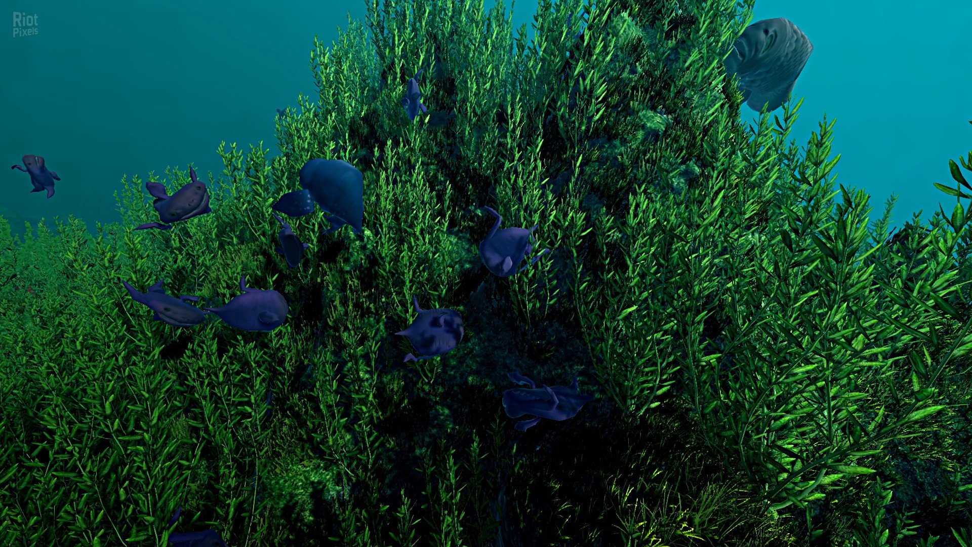 [14]-Ecosystem – v1.01 Download