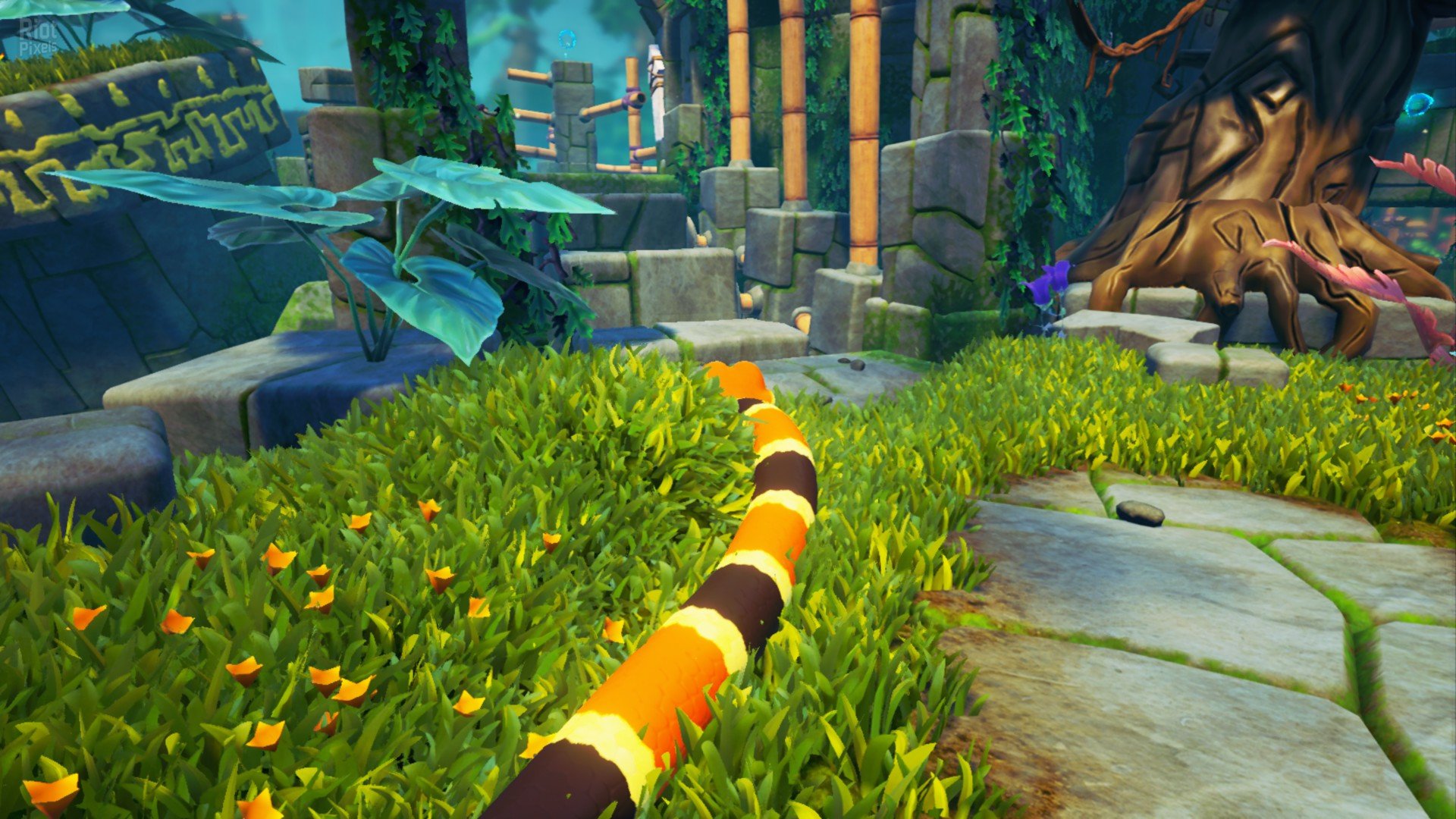 [5]-Snake Pass Download