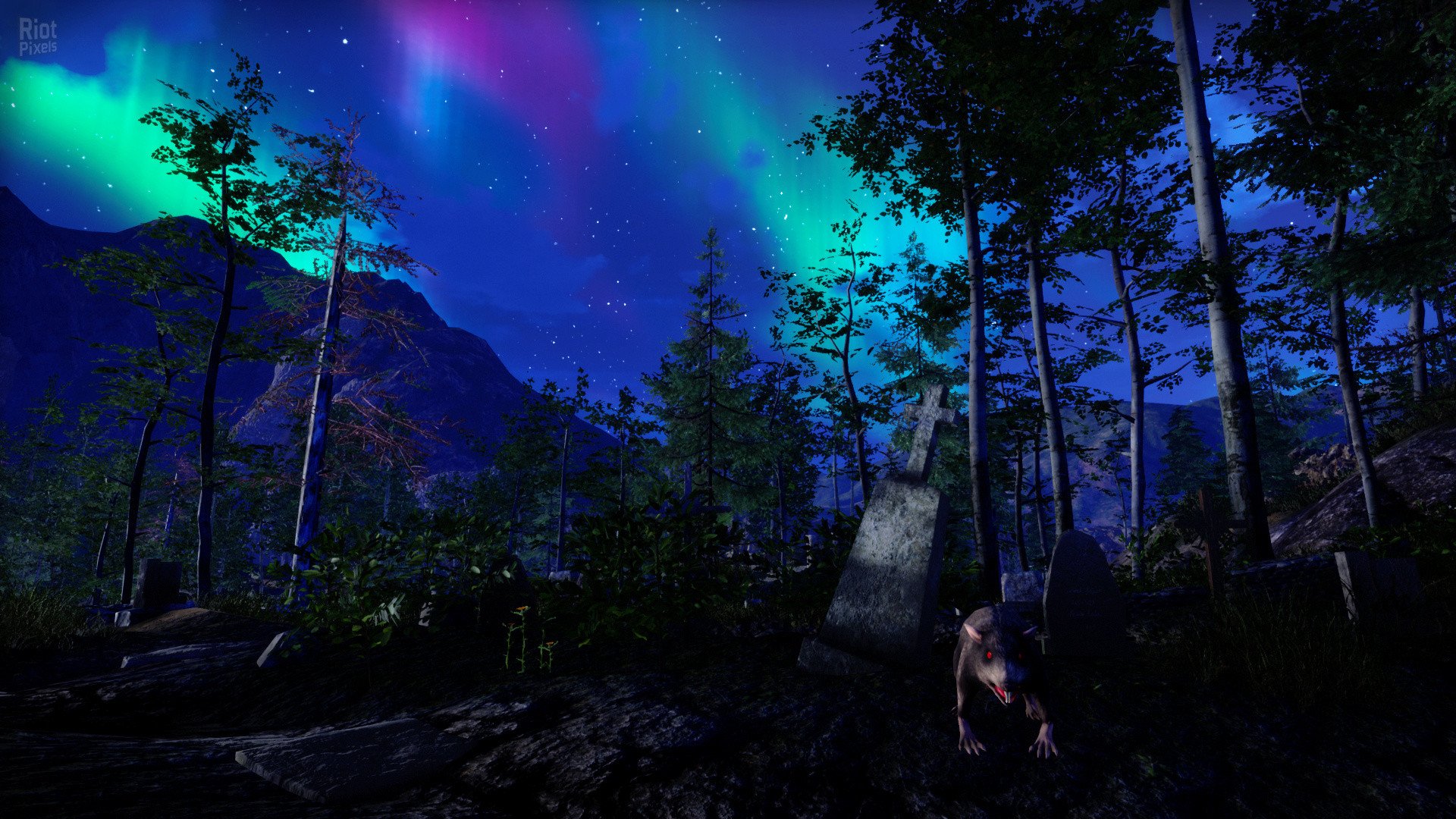 [5]-SpellMaster: The Saga – v0.8 Download