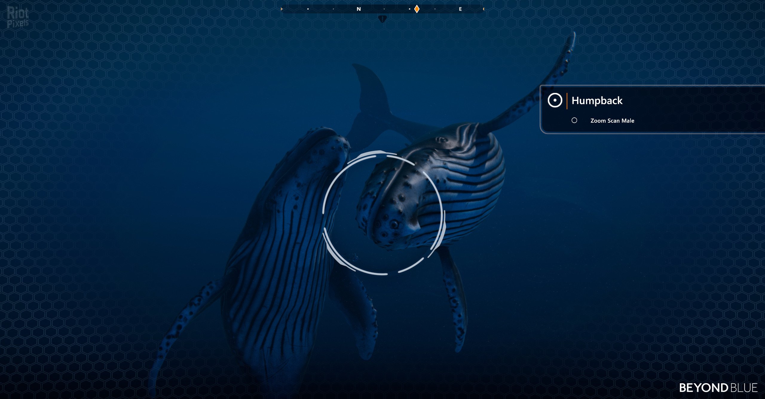 [10]-Beyond Blue – v1.7.17798 Download