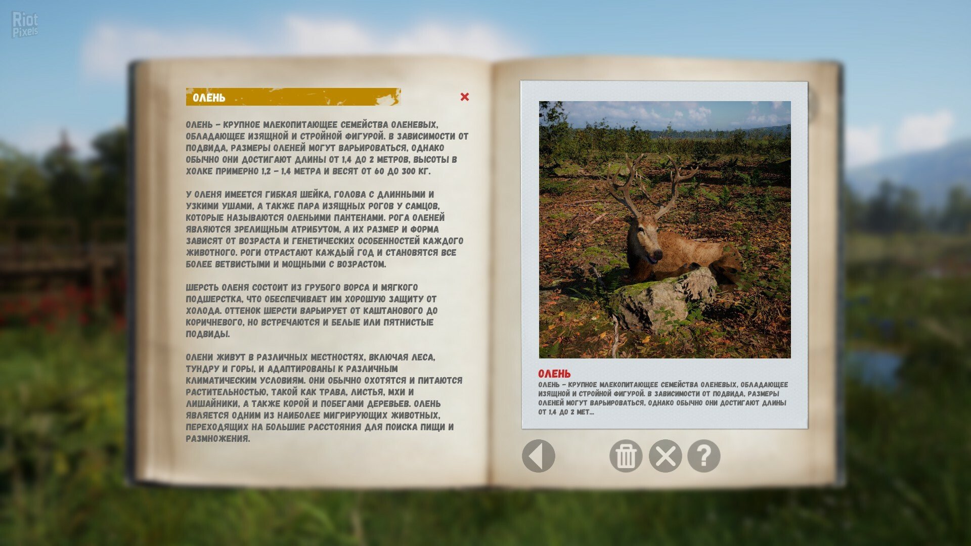 [9]-Russian Soul Simulator Download