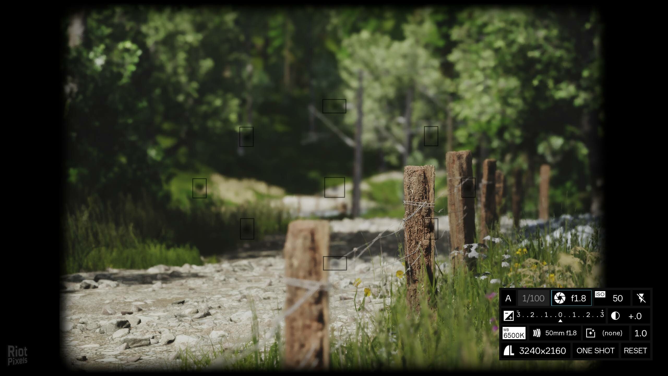 [7]-Lushfoil Photography Sim Download