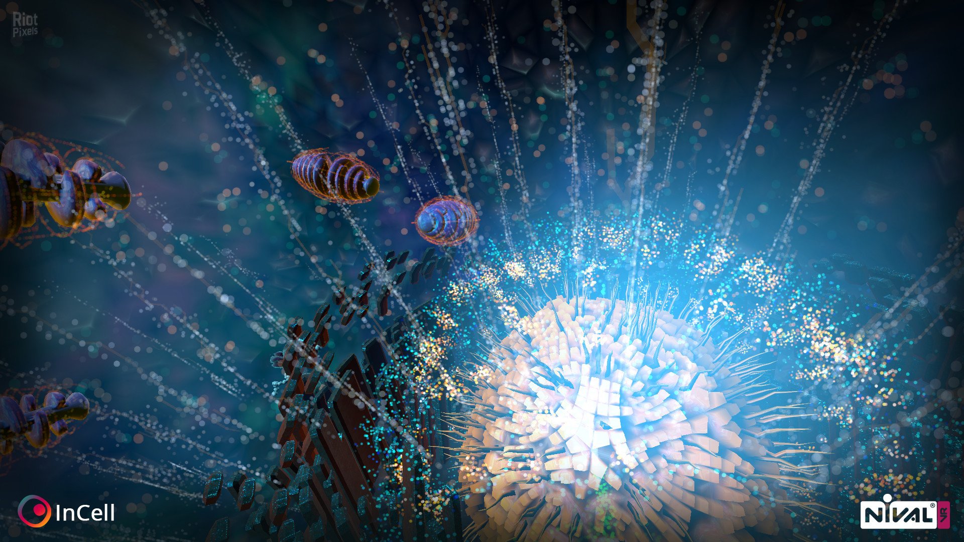 [11]-InCell / InCell VR Download