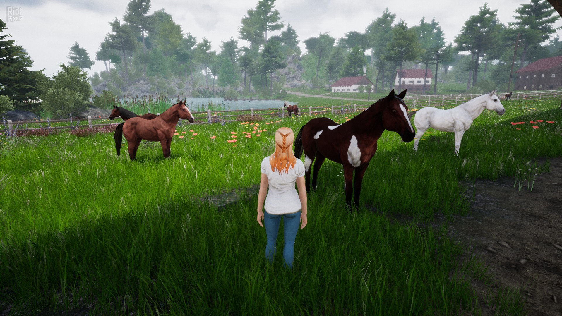 [12]-Horse Riding Deluxe 2 Download