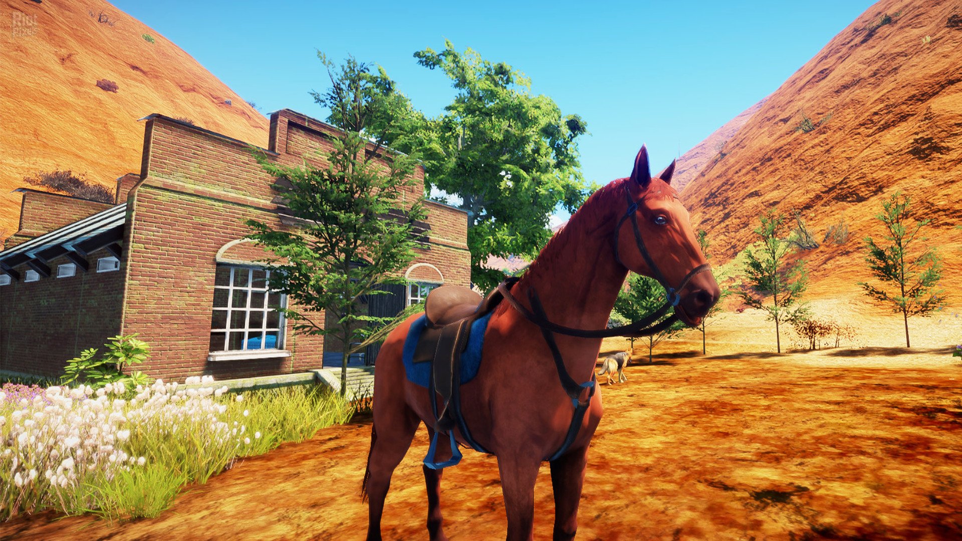 [13]-Animallica Download