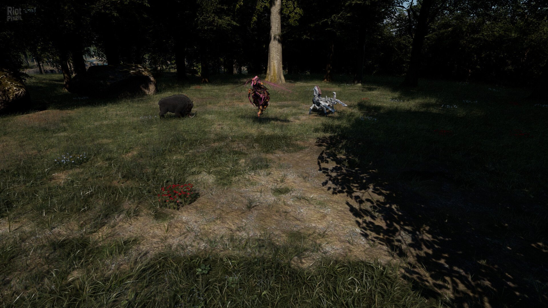 [2]-the Dwarf – v1.0 Download