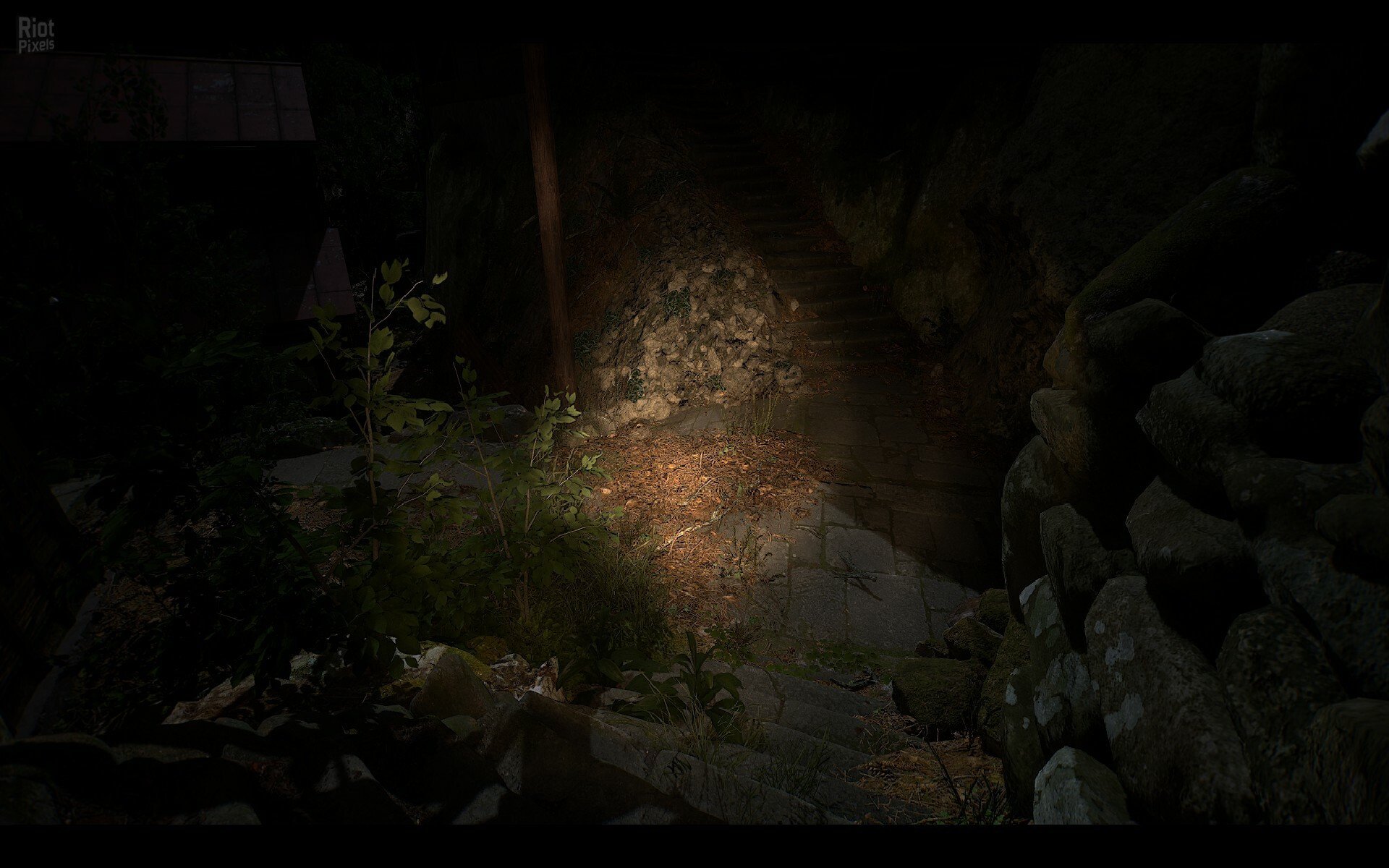 [11]-NARIBIKIMURA Download