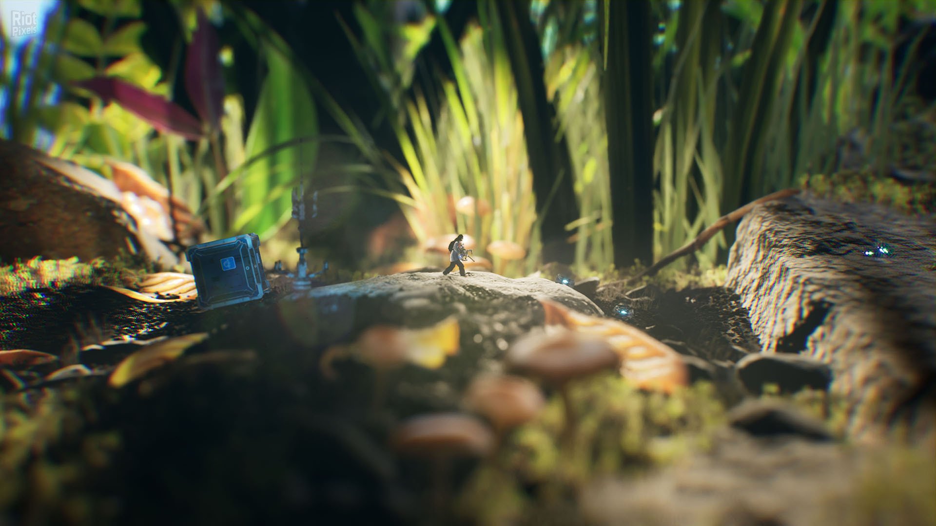 [10]-Big Earth Download