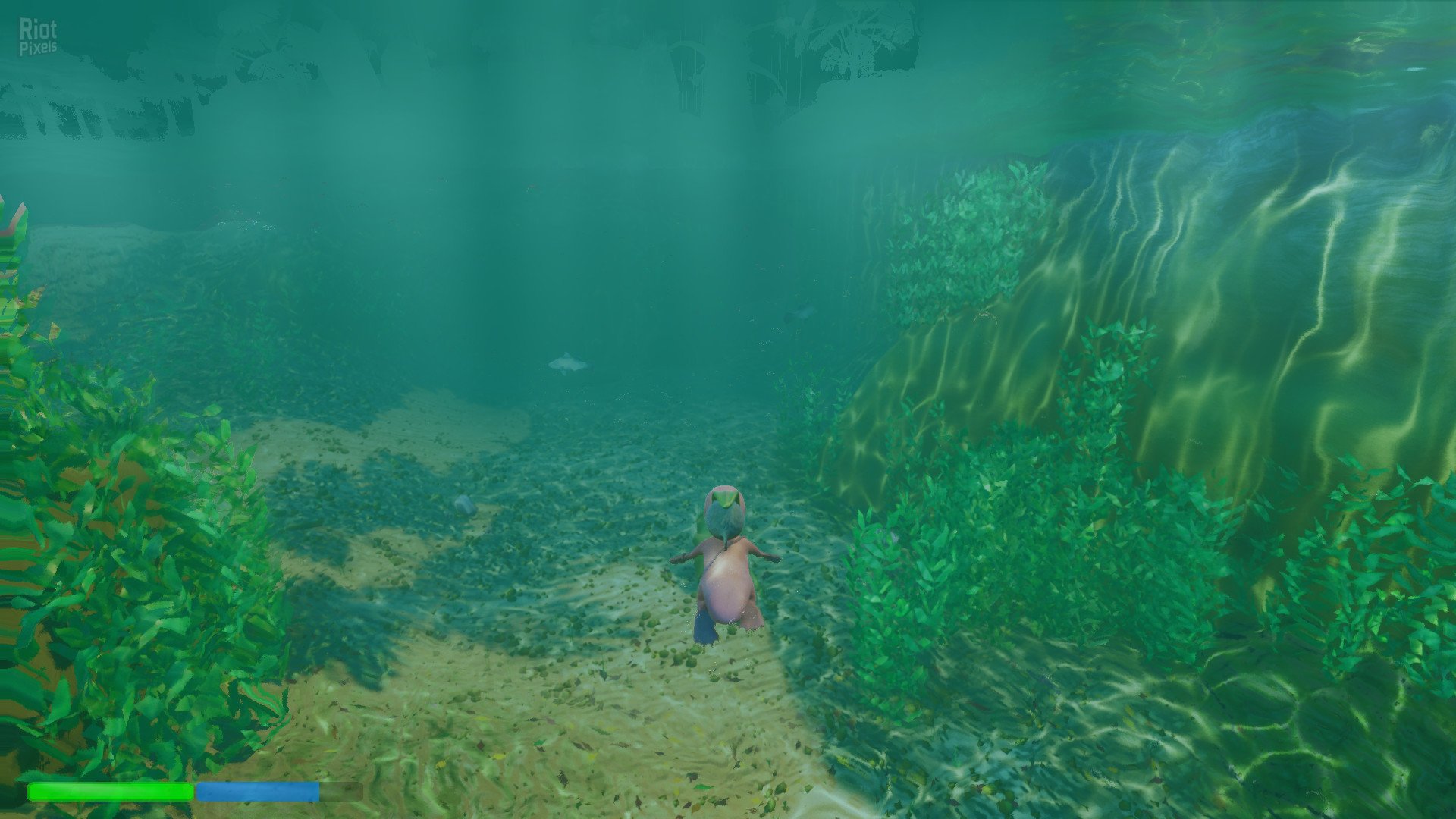 [7]-Platypus Adventures Download