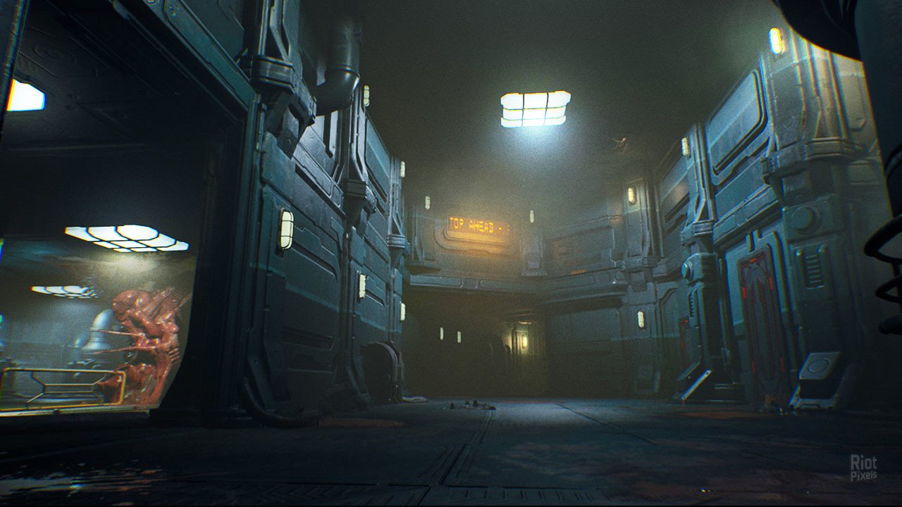 [3]-RIPOUT – v1.0:01 Download