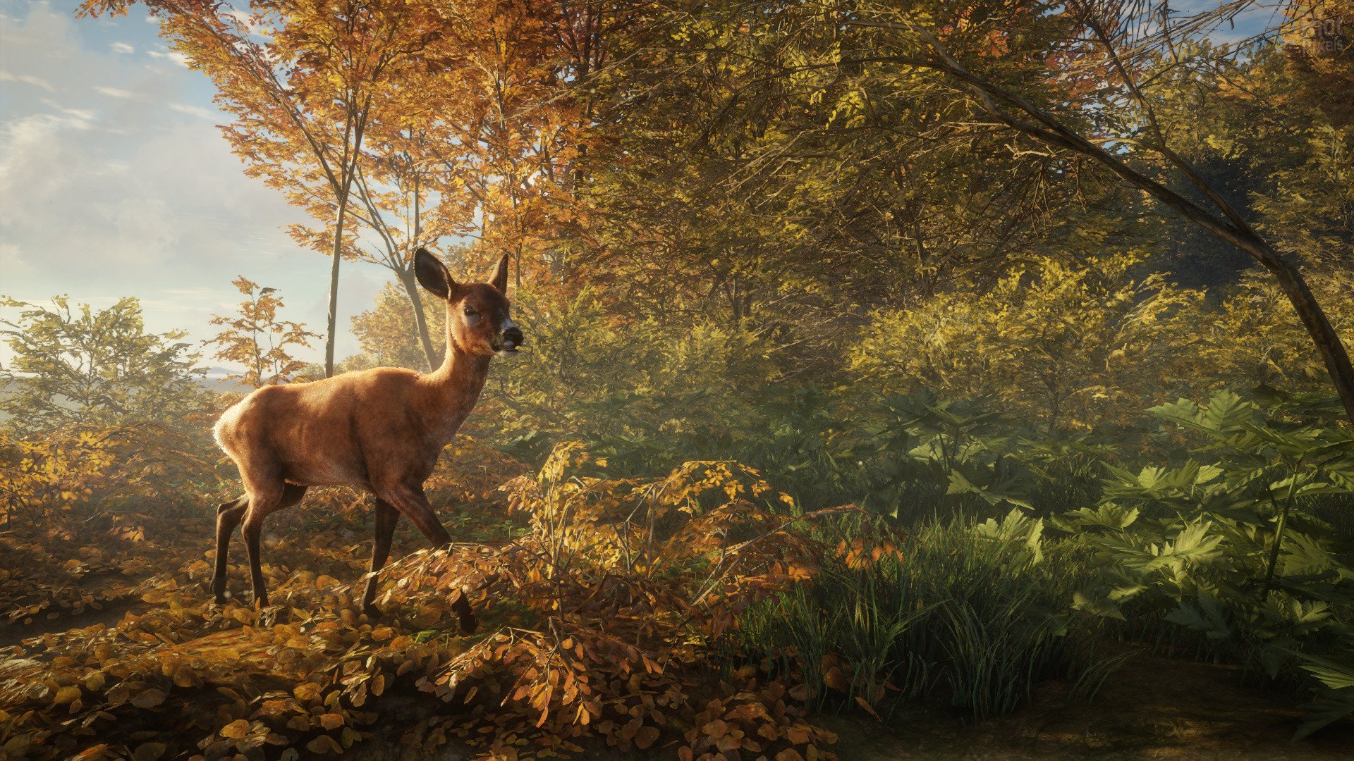 [6]-theHunter: Call of the Wild – Complete Collection – v2891297 + 64 DLCs Download