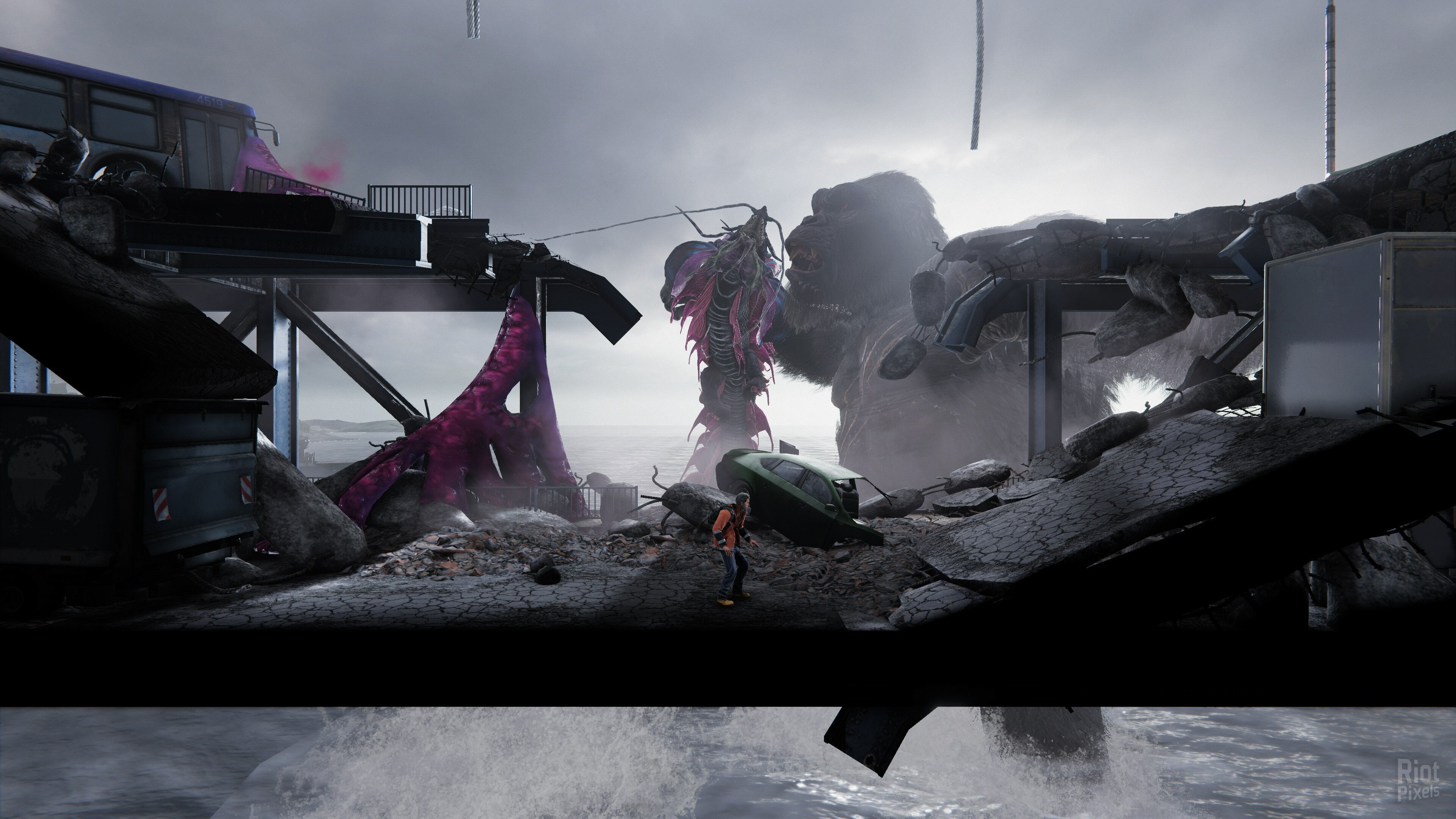 [10]-Kong: Survivor Instinct Download