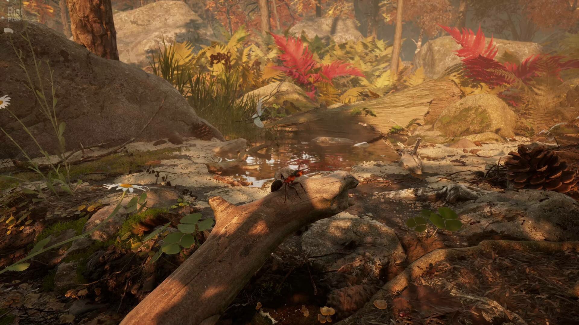 [3]-Empire of the Ants: Digital Deluxe Edition – v1.02.19732 + Bonus Content + Windows 7 Fix Download