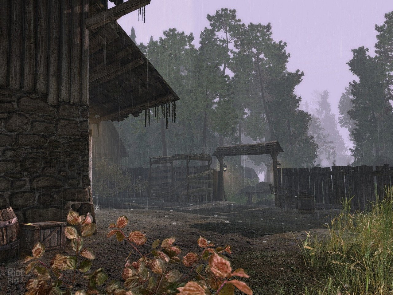 [14]-ArcaniA: Gold Edition Download