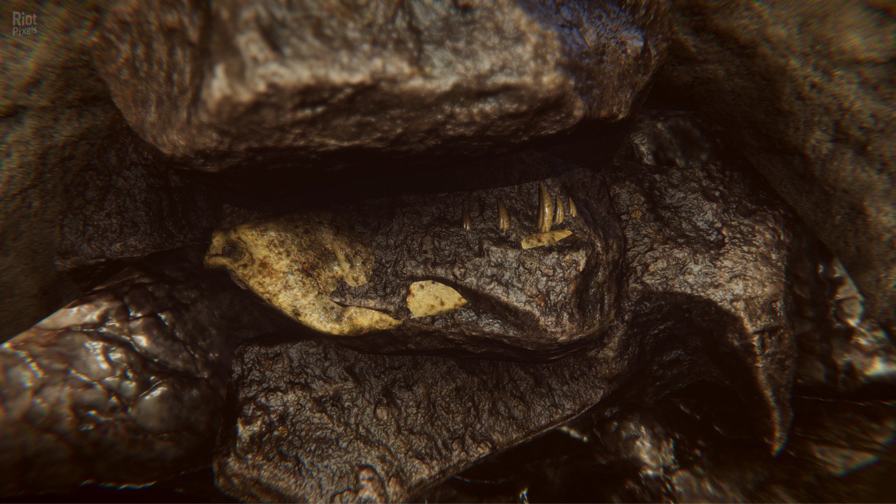 [10]-Dinosaur Fossil Hunter – v2.0.21 Download