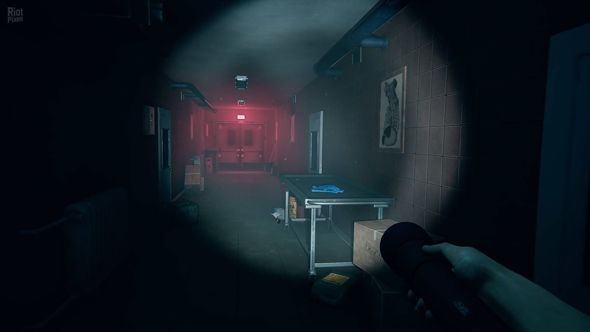 [10]-Autopsy Simulator Download