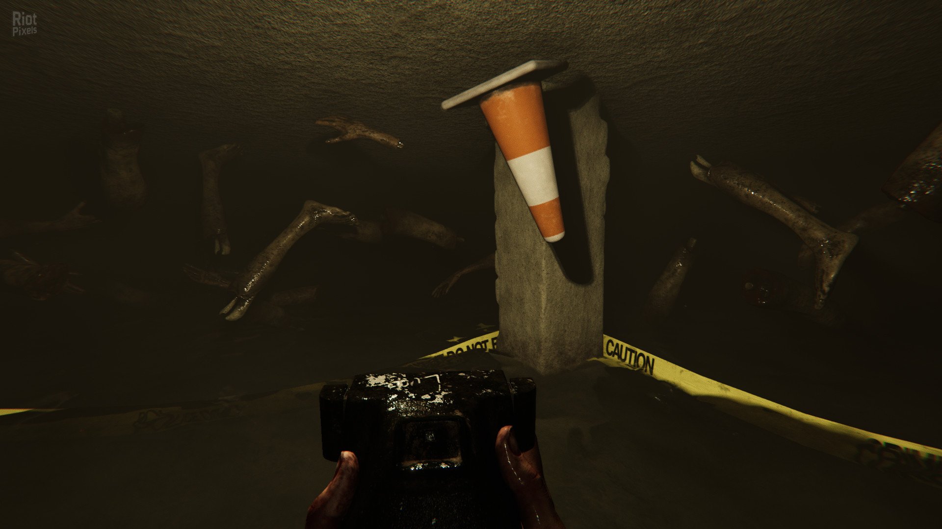 [9]-MADiSON – v1.0.1 + Possessed Camera DLC Download