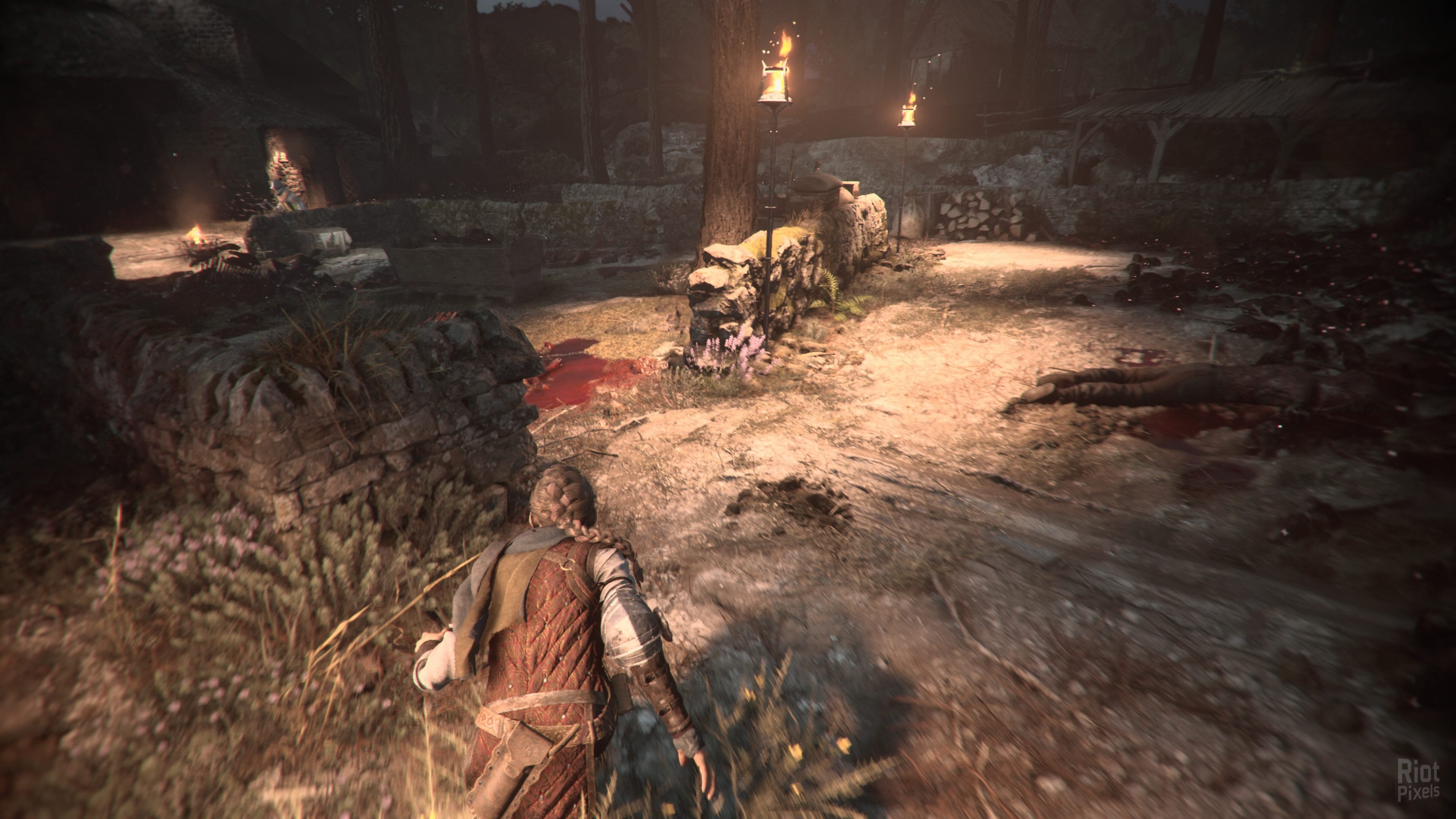 [2]-A Plague Tale: Requiem – v1.0.0.0 Steam/GOG + Protector Pack DLC Download