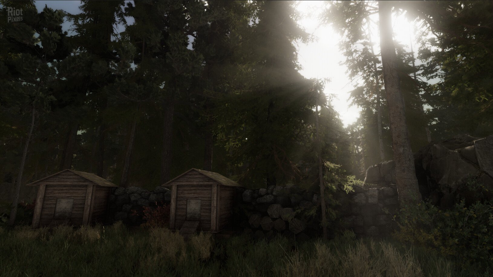 [10]-Beyond the Evil Download