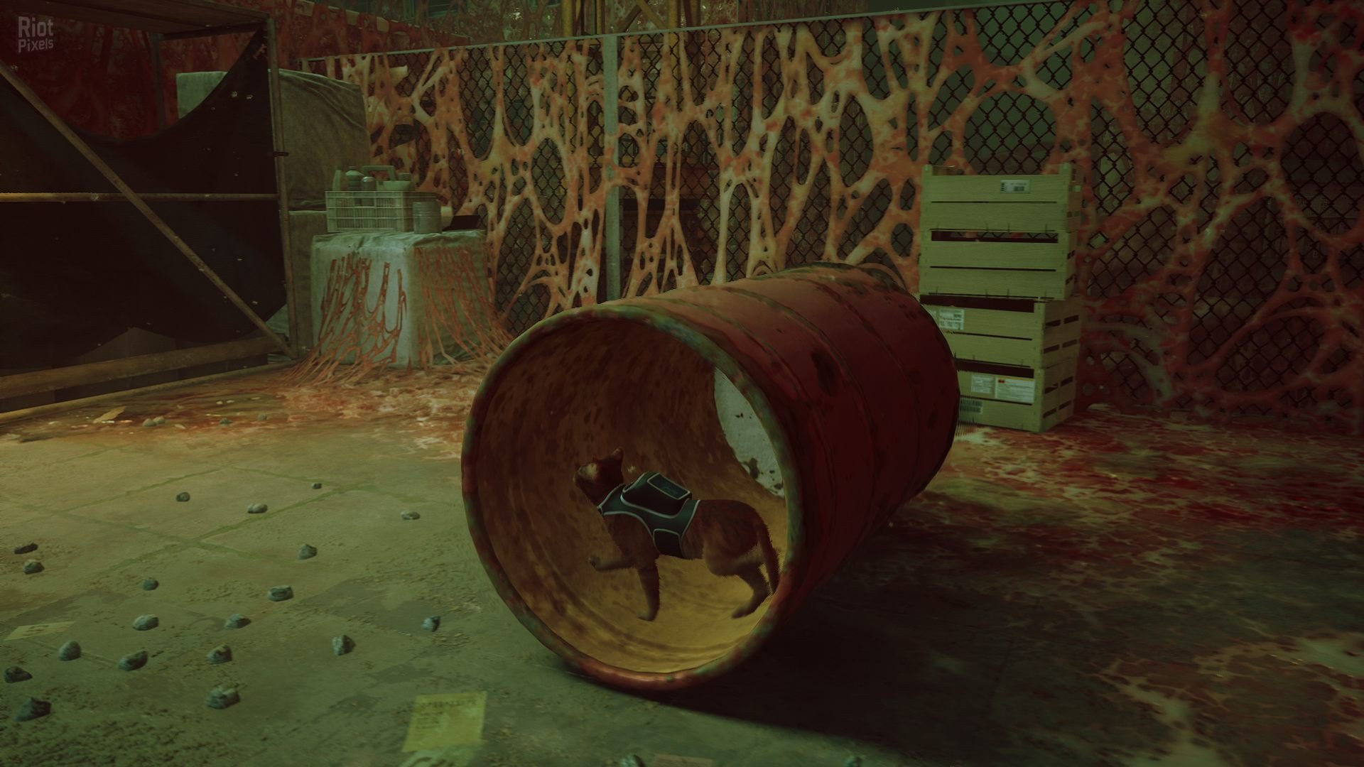 [8]-Stray: Soundtrack Edition – v1.5#368 Revision 26632 (Patch 4) + Bonus OST + Windows 7 Fix Download