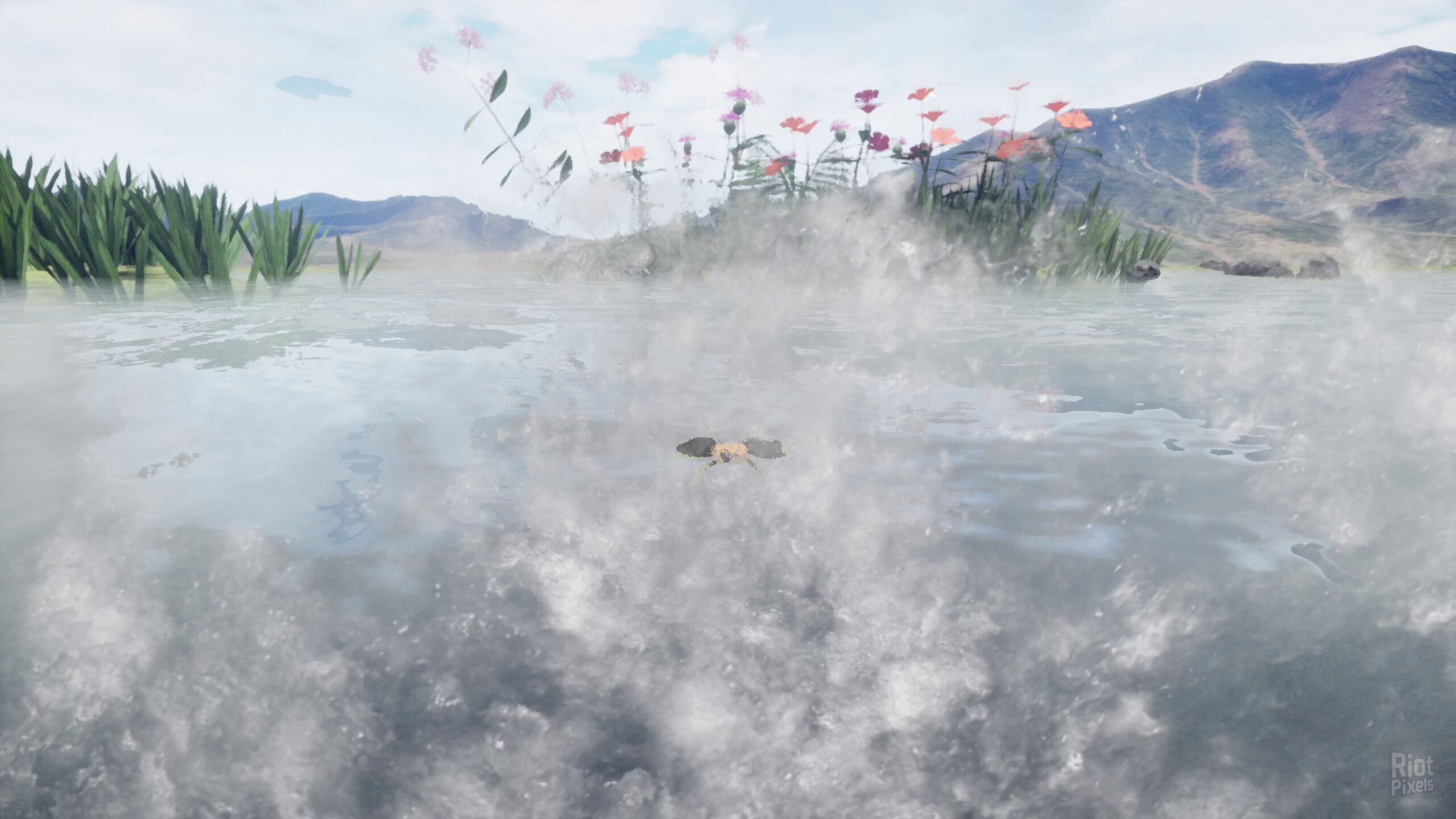 [7]-Nature & Life: Drunk On Nectar + Bonus Soundtrack Download