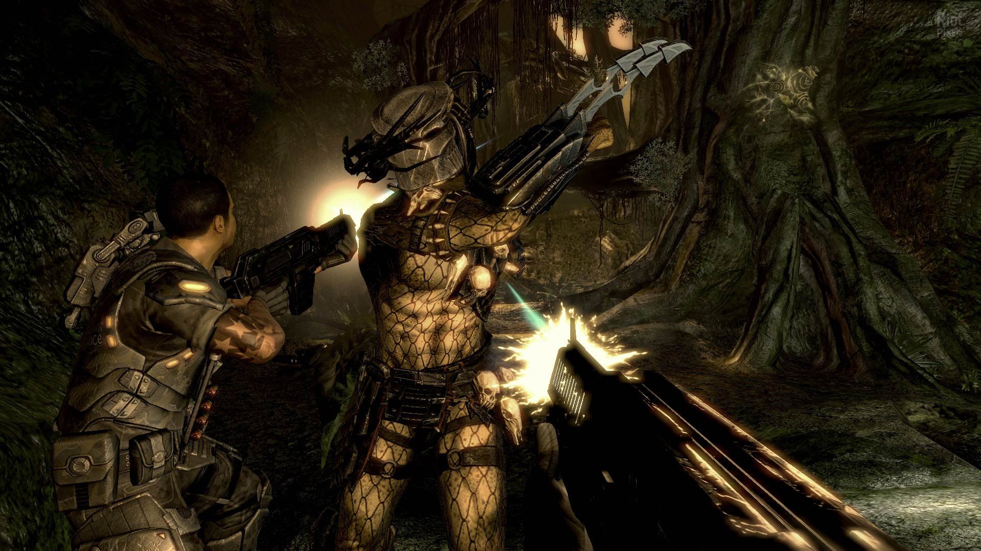 [15]-Aliens vs. Predator + 2 DLC Download