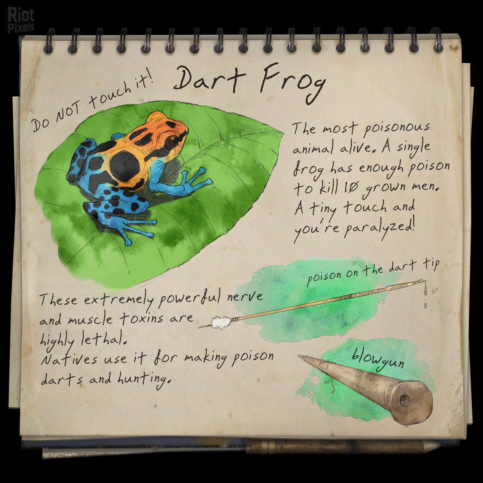 [27]-Green Hell – v2.2.0 build 31580 / v2.2.1 build 31671 Download