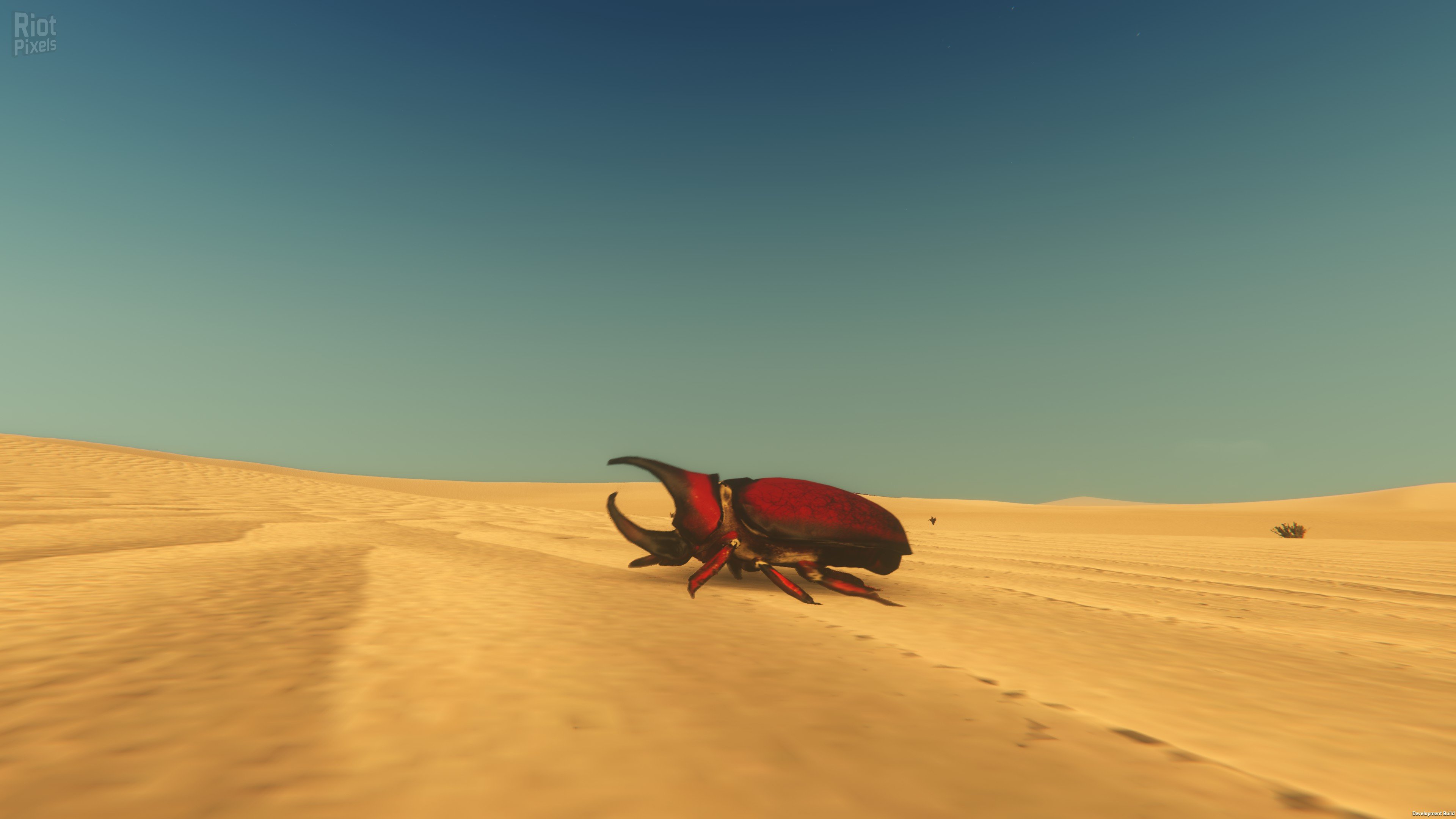 [10]-Starsand: Digital Supporter Edition – v1.0.9 + Bonus Content Download