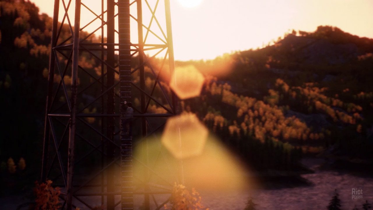 [9]-Only After Download