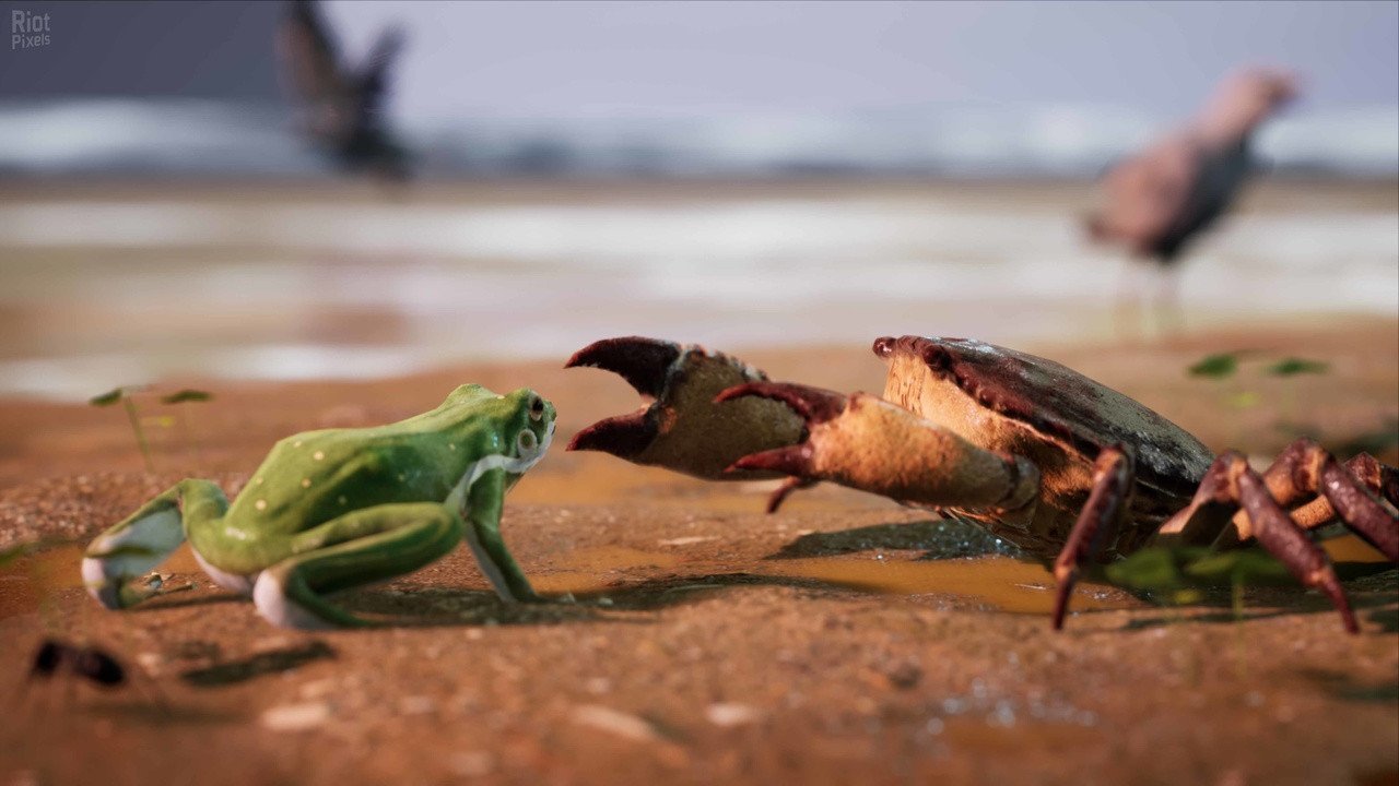 [2]-AWAY: The Survival Series + Windows 7 Fix Download