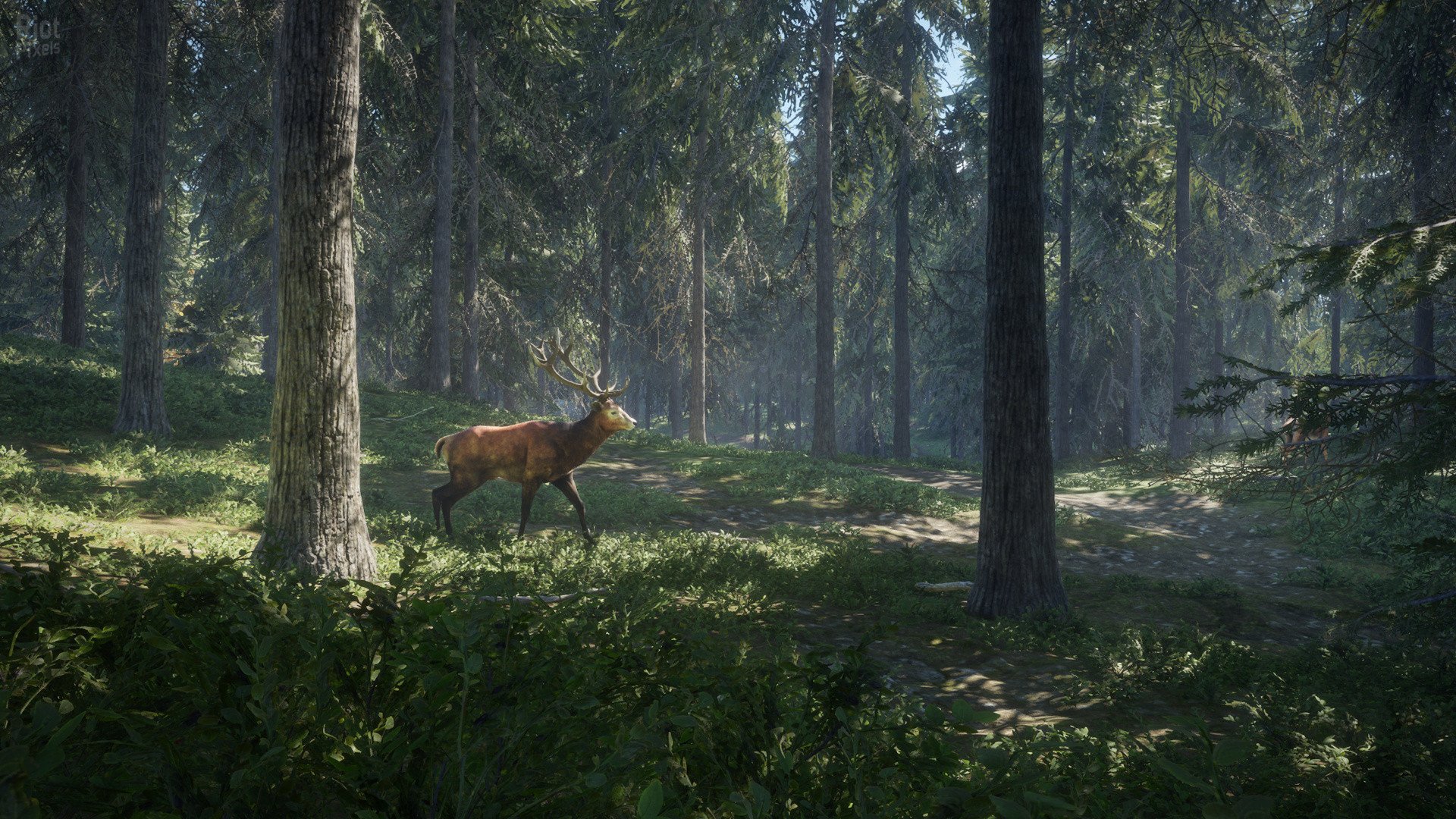 [13]-theHunter: Call of the Wild – Complete Collection – v2891297 + 64 DLCs Download