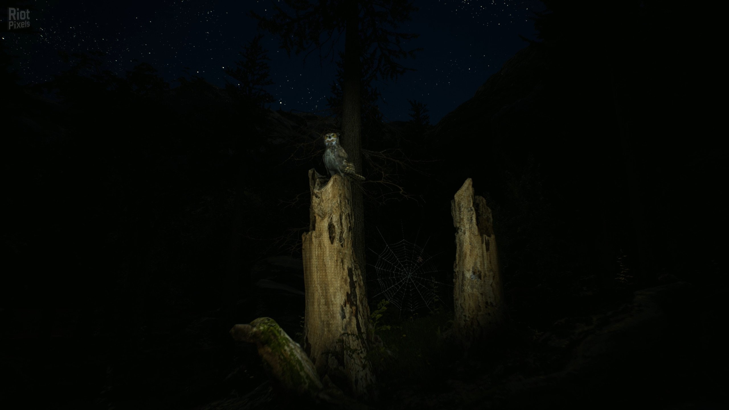 [3]-Morels: The Hunt Download