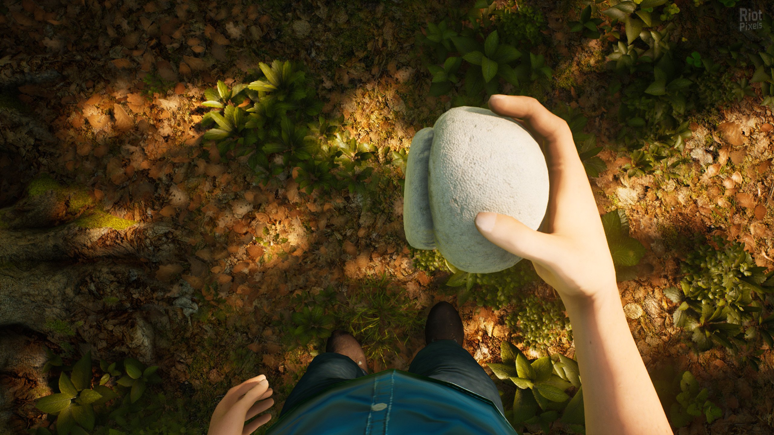 [11]-Morels: The Hunt Download