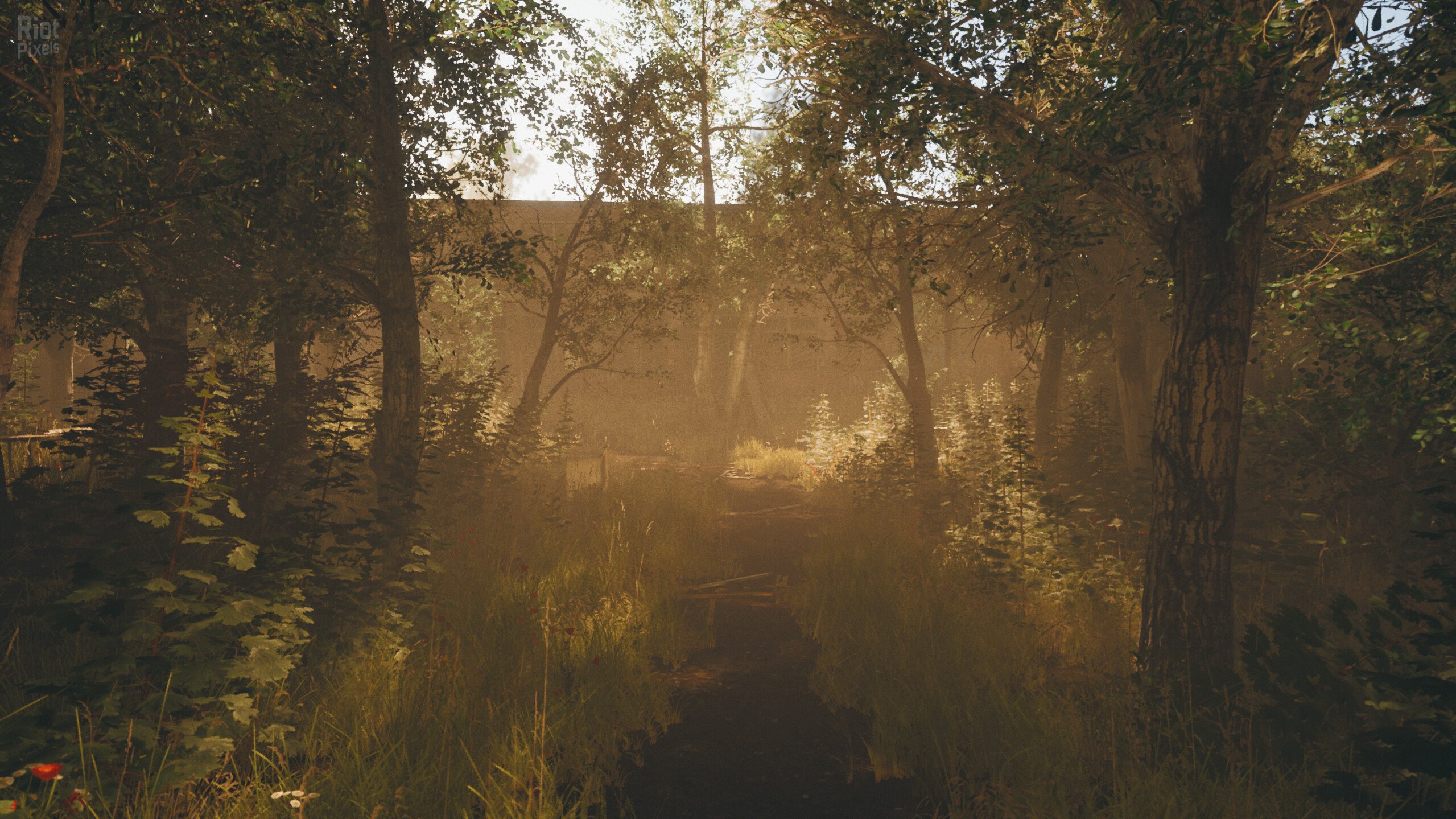 [9]-Pieces of Me Download