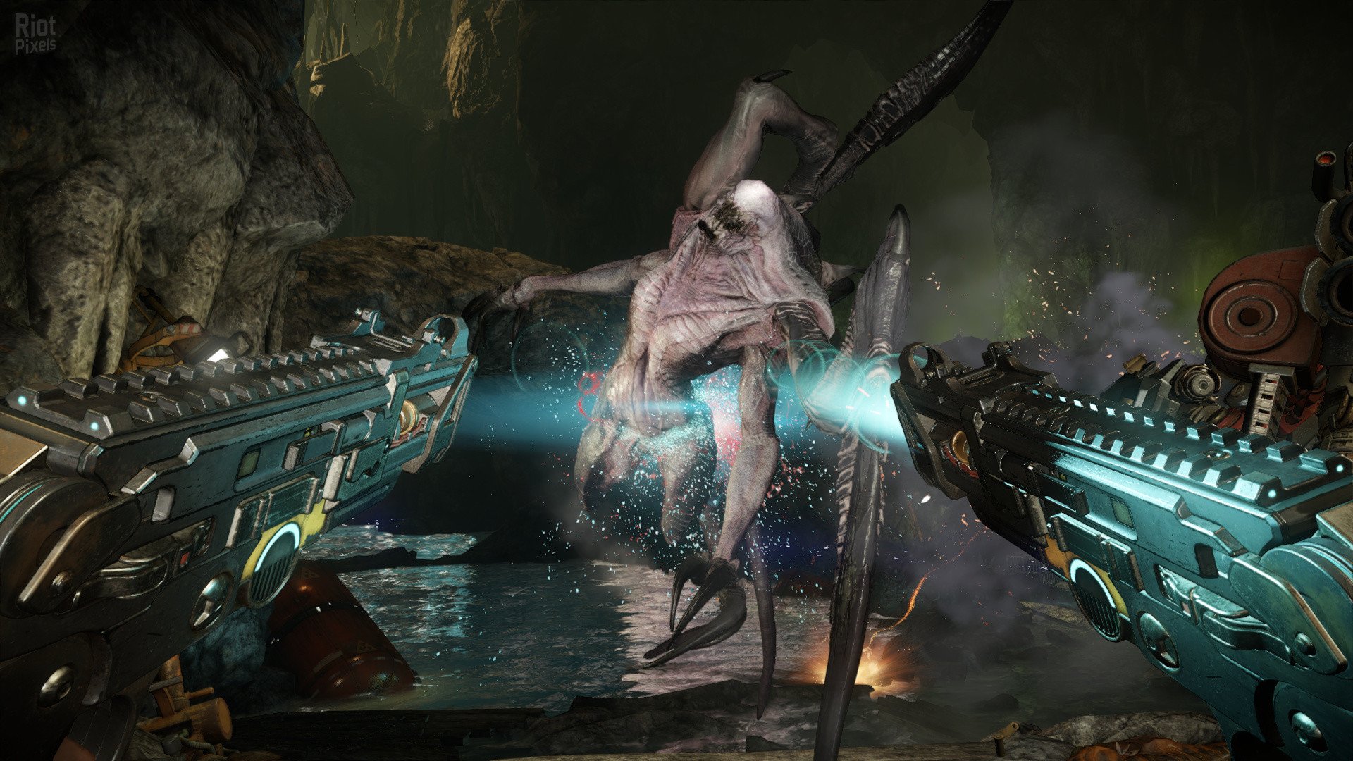 [13]-Evolve Download